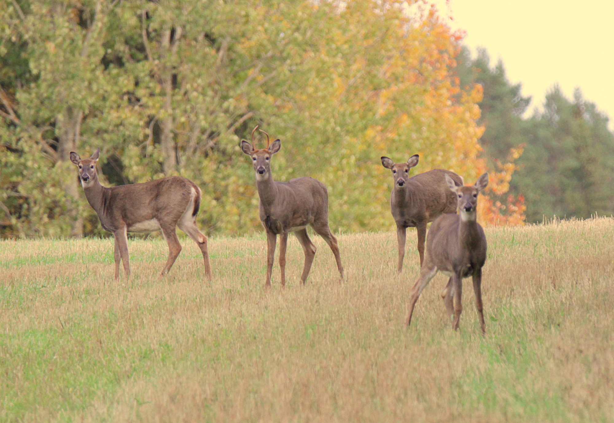 Valokuvaaja: Sirpa Jyske