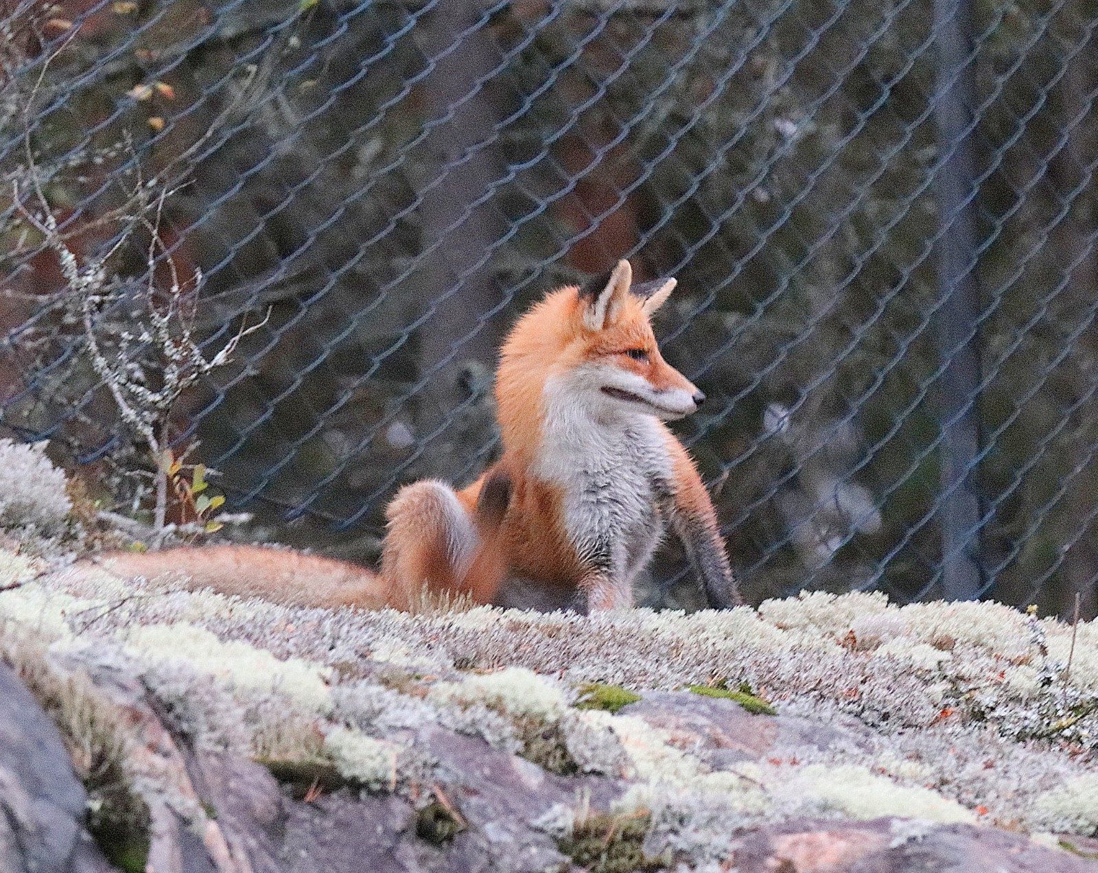 Valokuvaaja: Sirpa Jyske