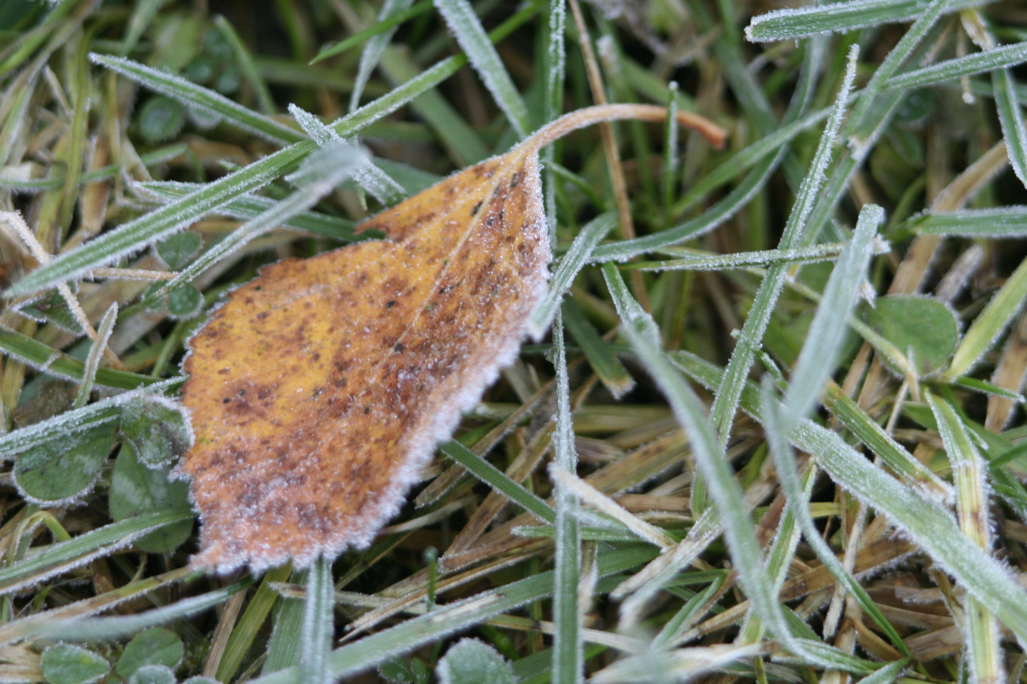 Valokuvaaja: Yrjö Meriläinen