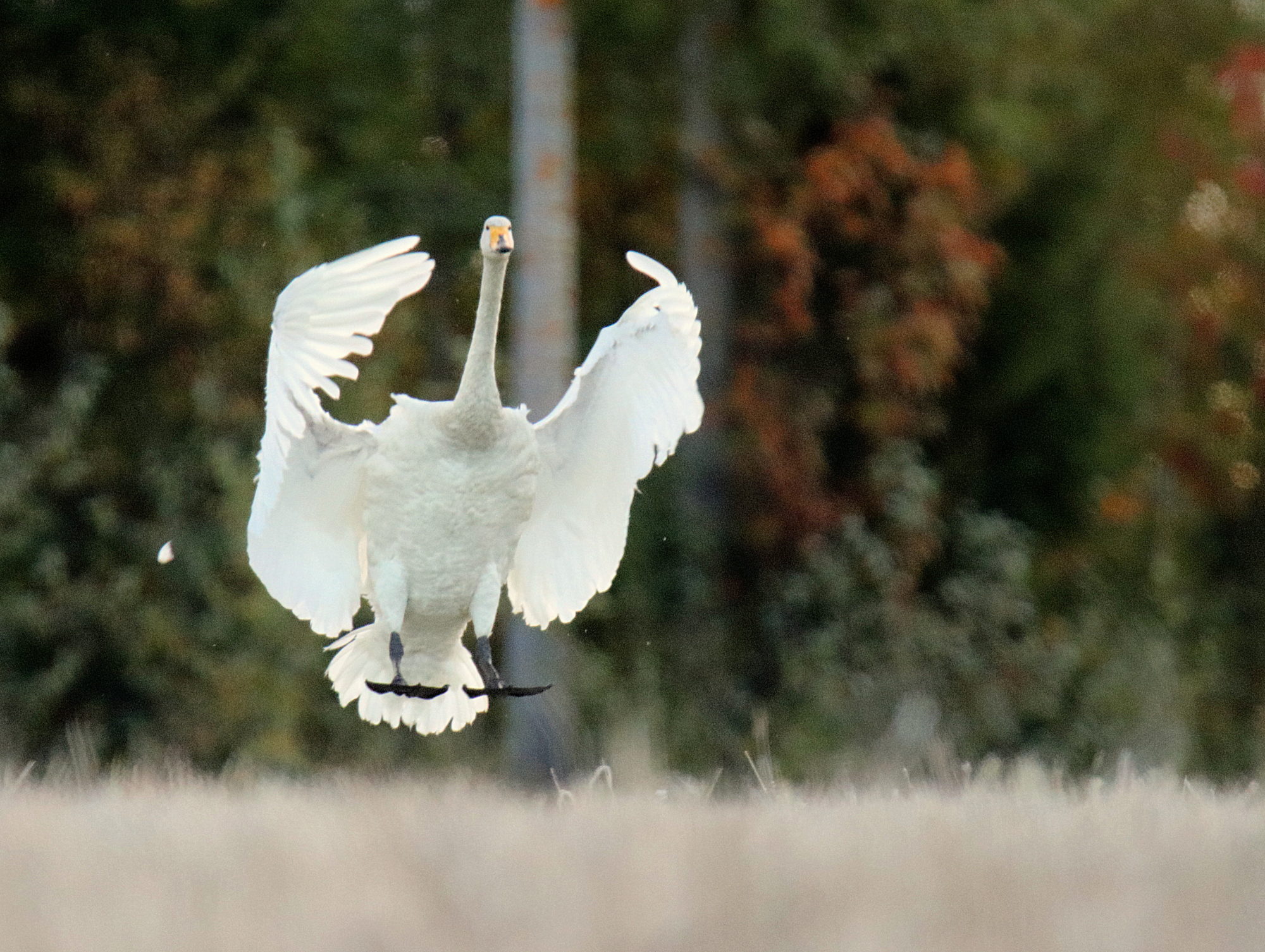 Valokuvaaja: Sirpa Jyske Valokuvaaja: Sirpa Jyske