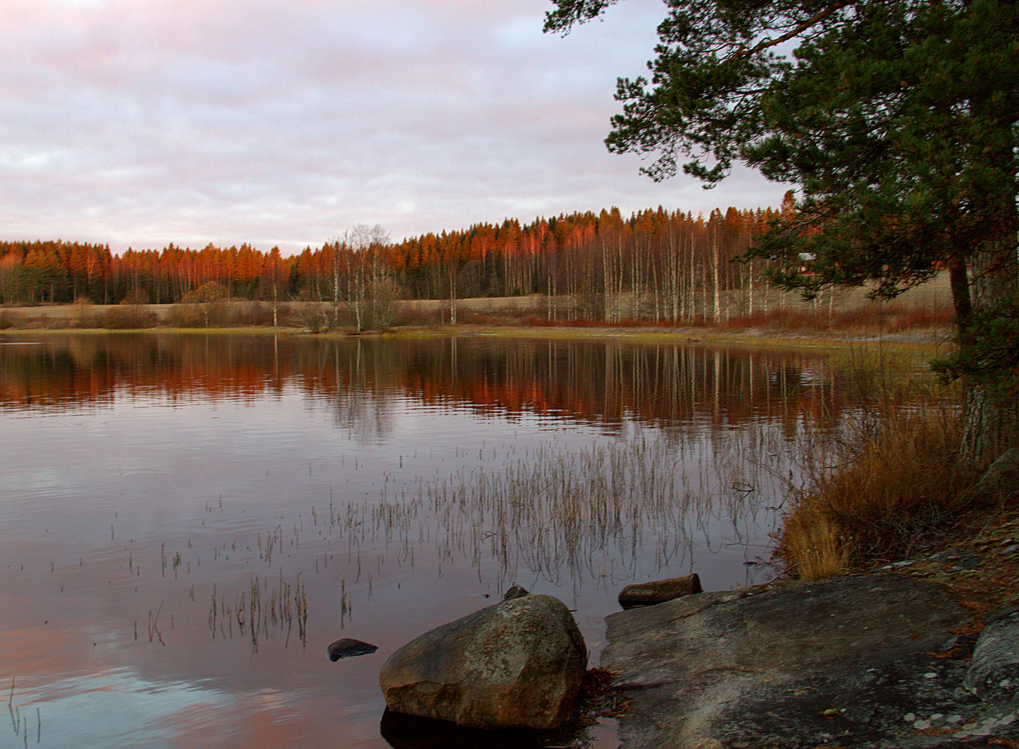 Valokuvaaja: sirpa Jyske Valokuvaaja: sirpa Jyske