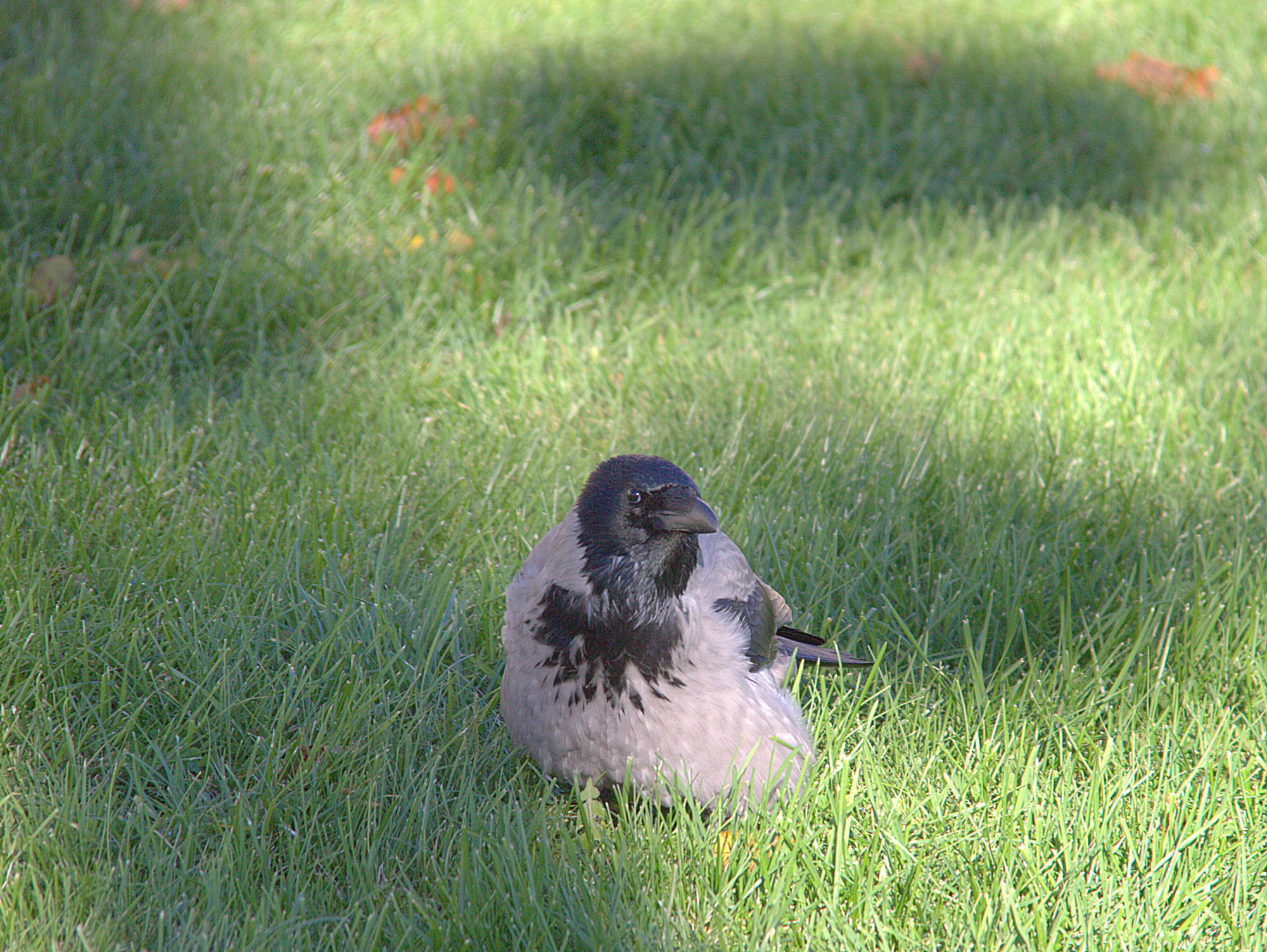 Valokuvaaja: sirpa Jyske