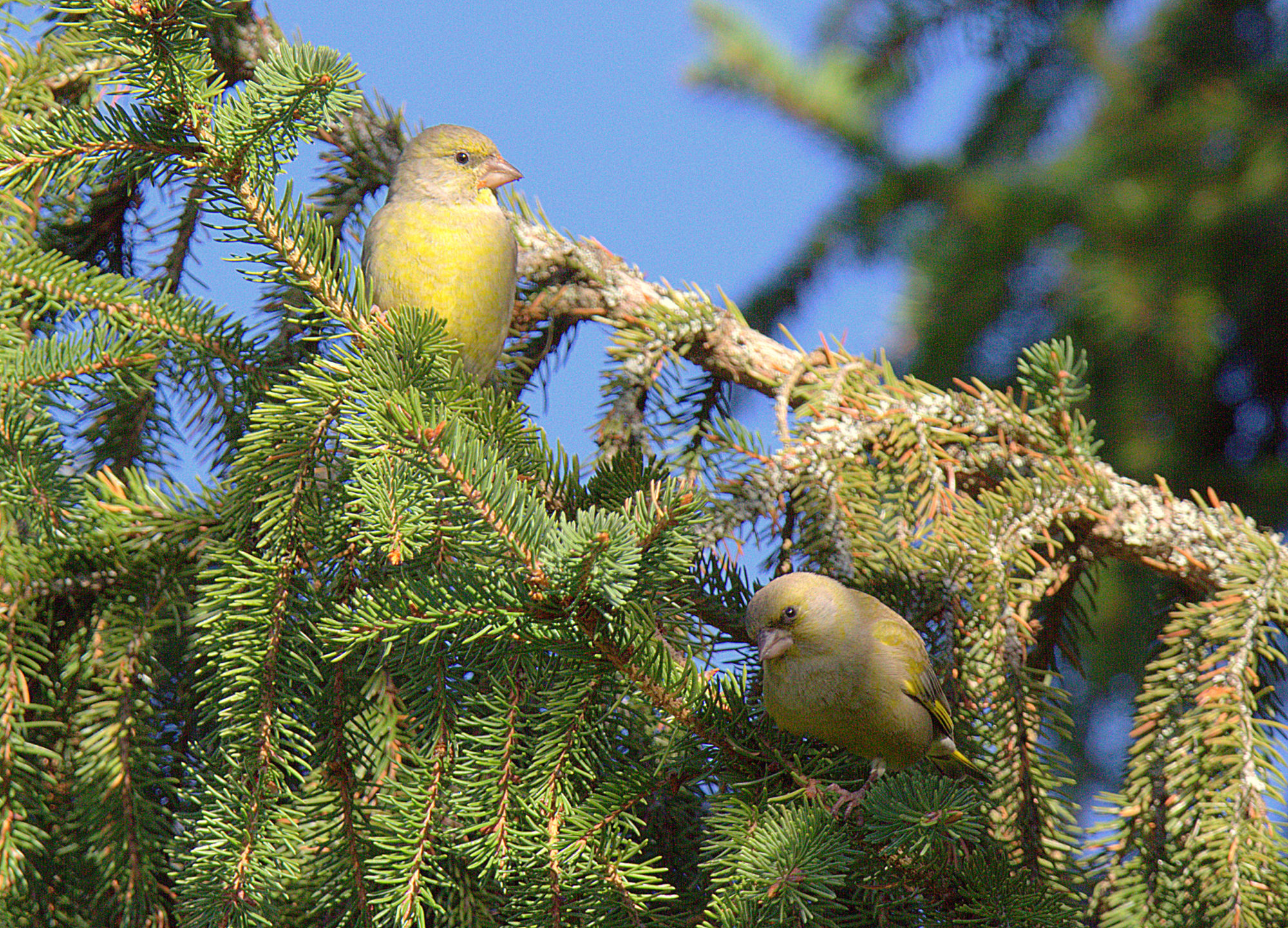 Valokuvaaja: sirpa Jyske Valokuvaaja: sirpa Jyske
