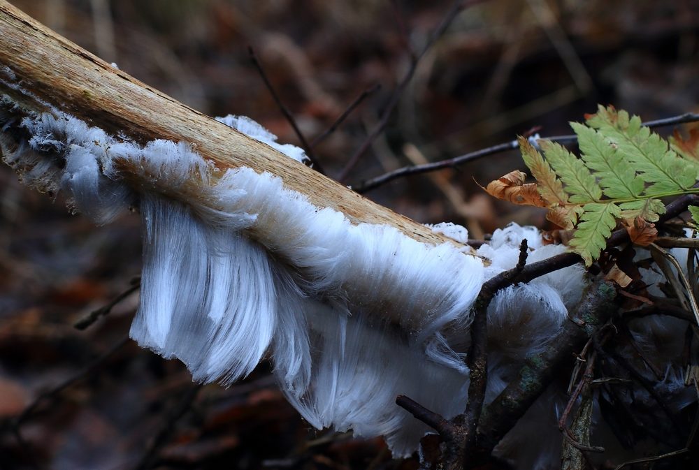 Valokuvaaja: Minna Kaan