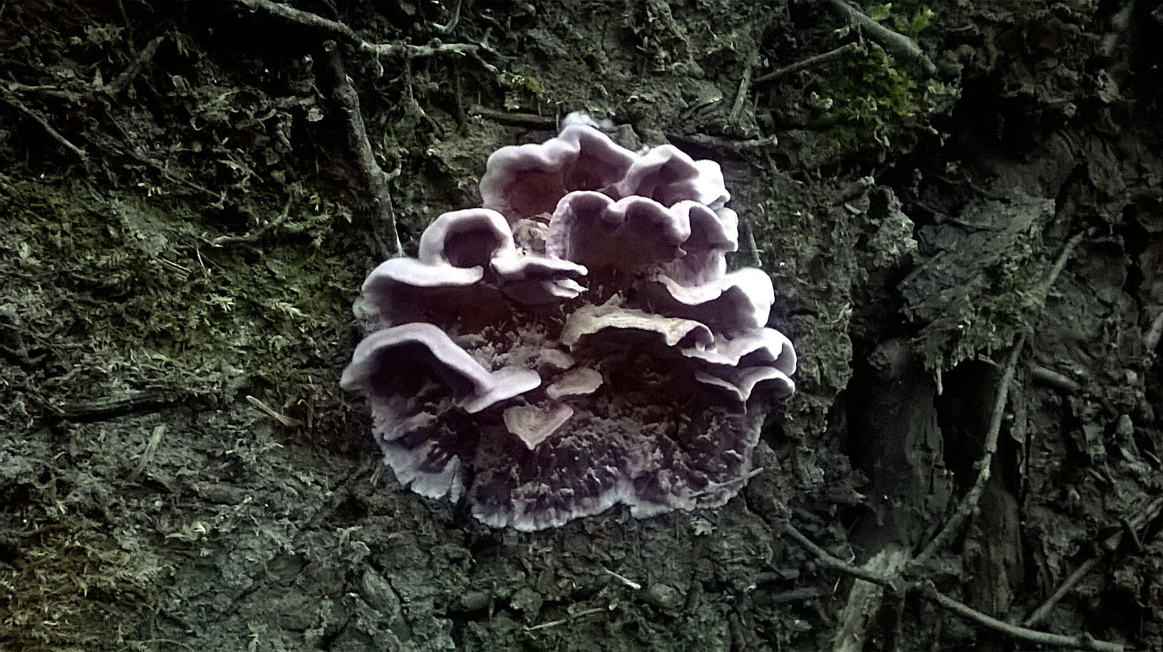 Valokuvaaja: Martti Tuure