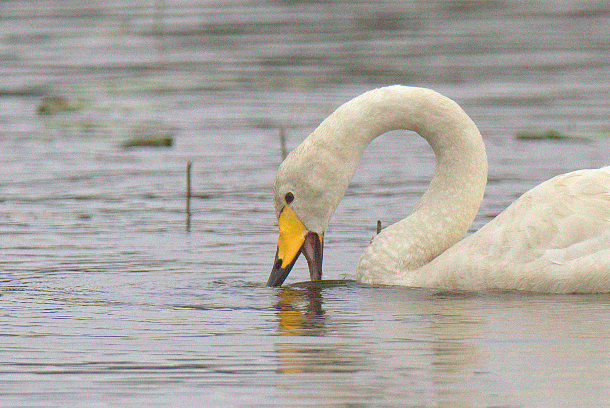 Valokuvaaja: sirpa Jyske