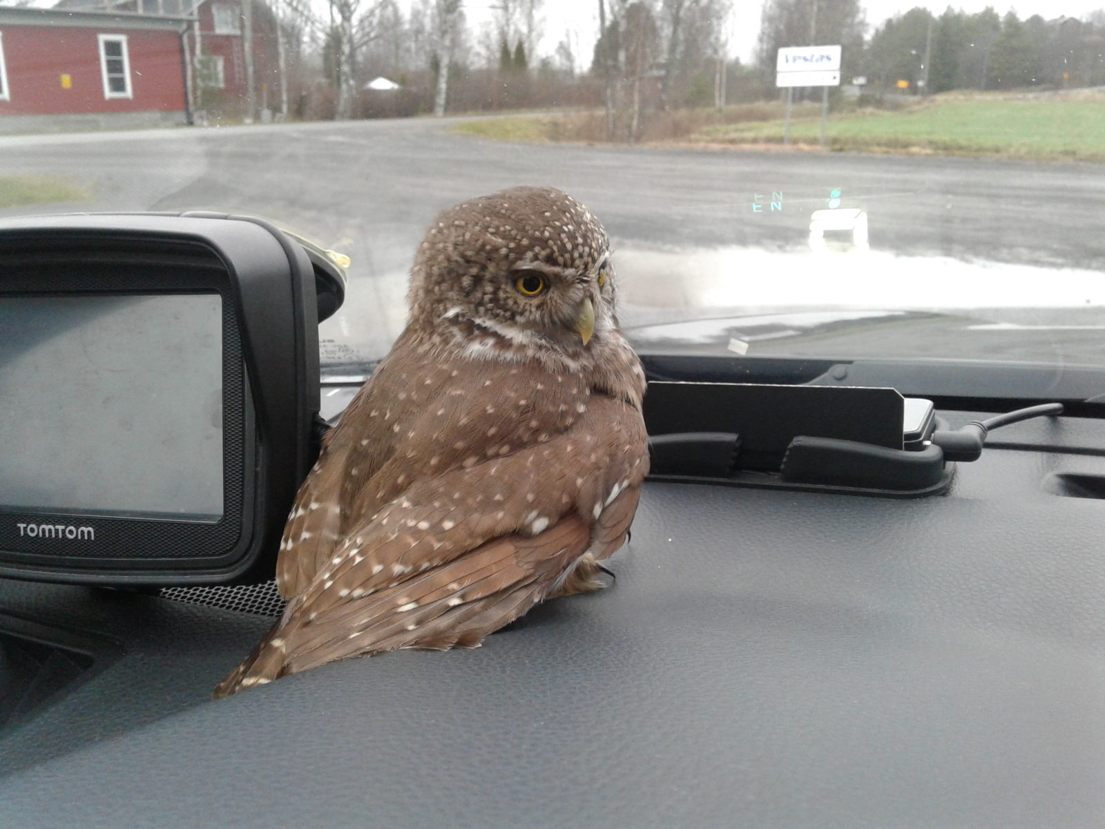 Valokuvaaja: Heikki Pesonen