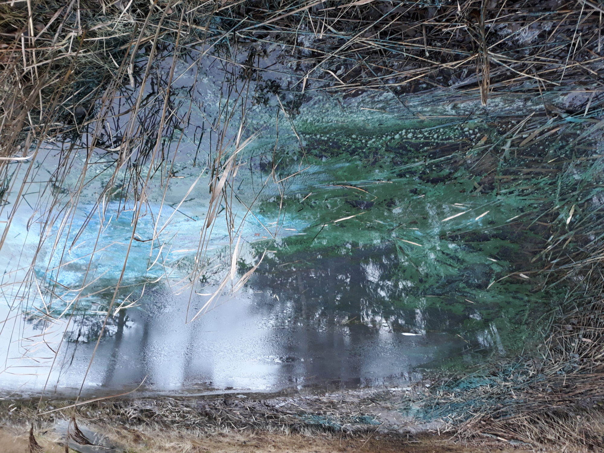 Valokuvaaja: Riitta Kaaja Valokuvaaja: Riitta Kaaja