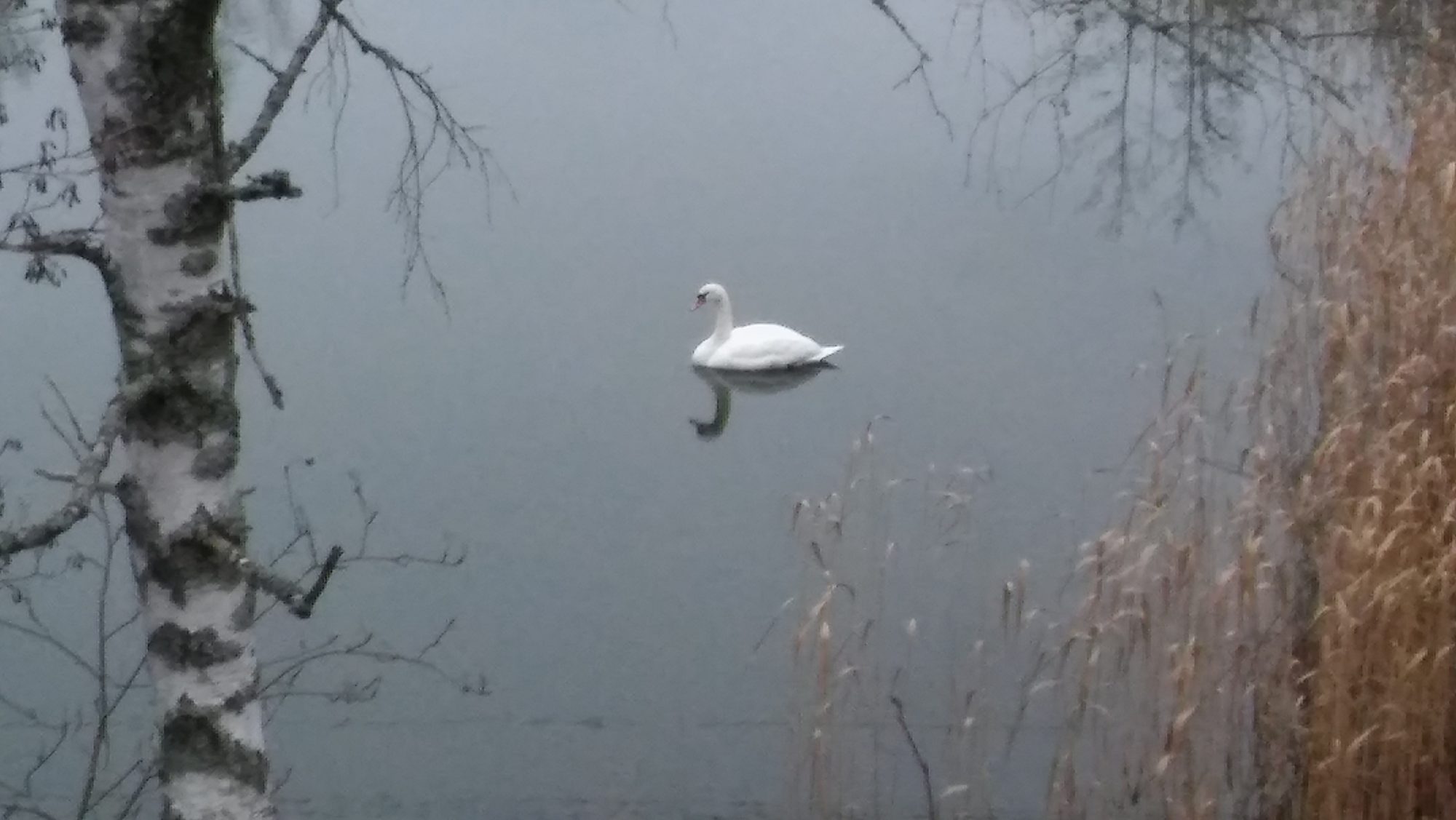 Valokuvaaja: Esa-Matti Ristola