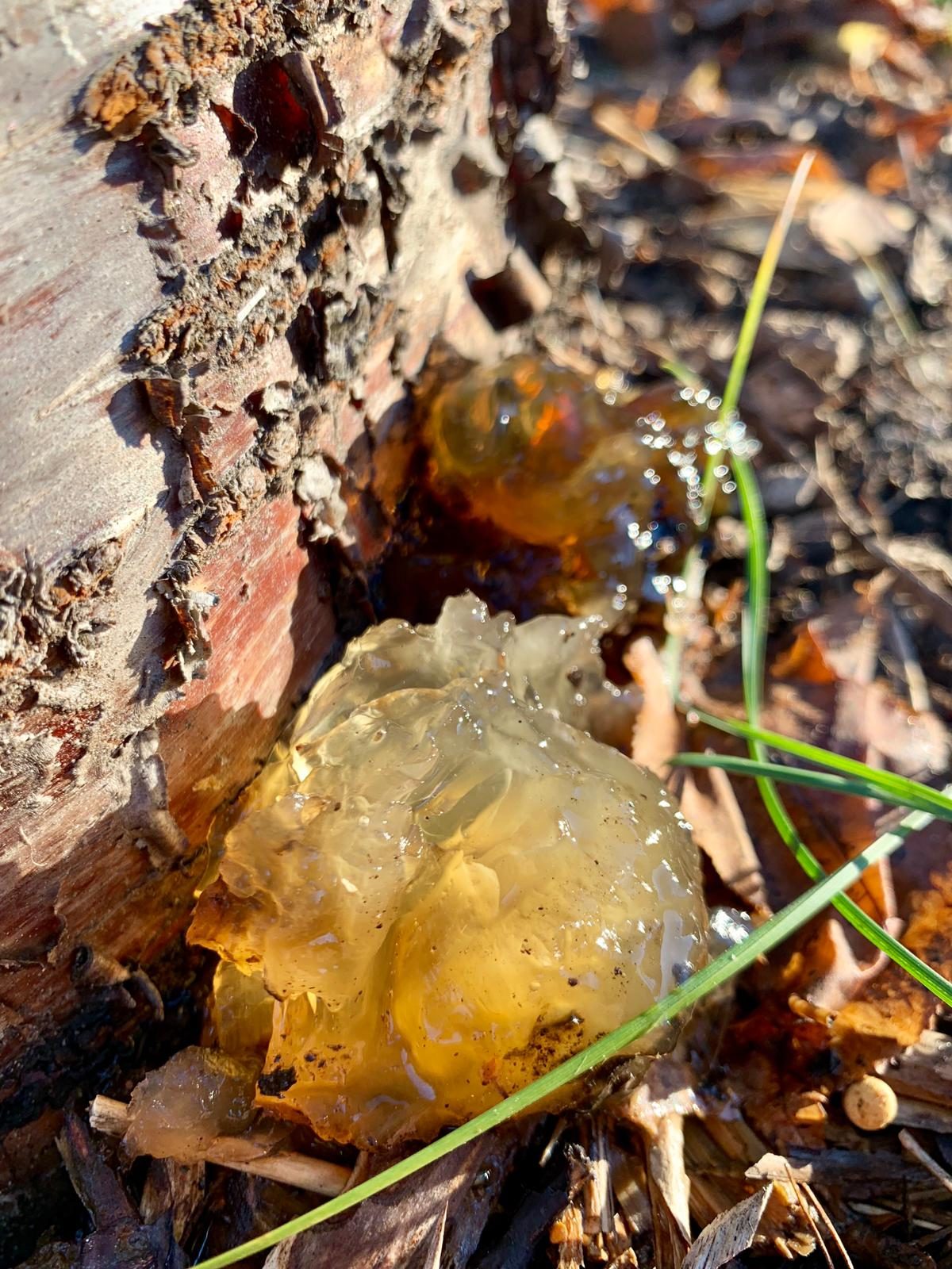 Valokuvaaja: Heidi Räsänen