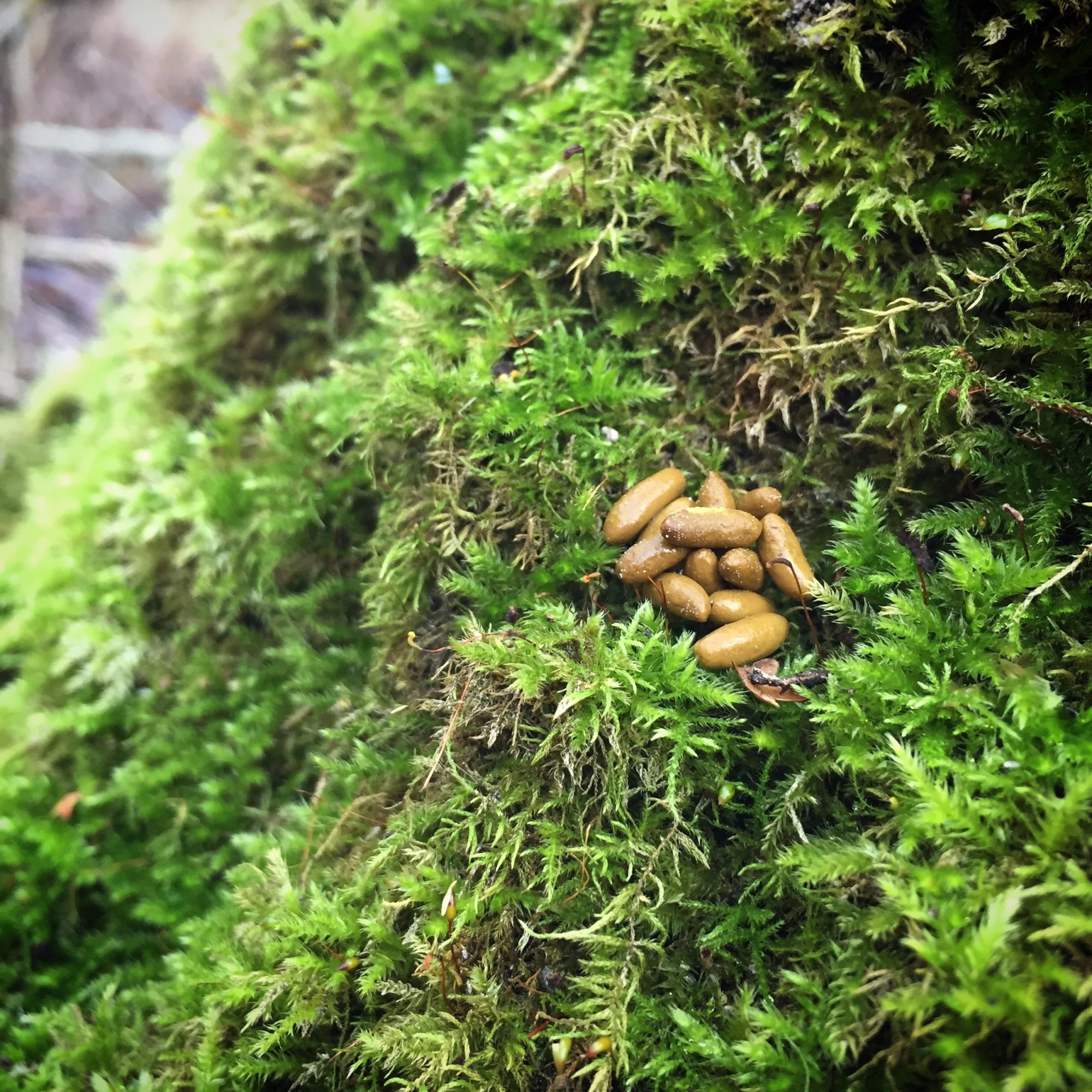 Valokuvaaja: Riikka Eromäki