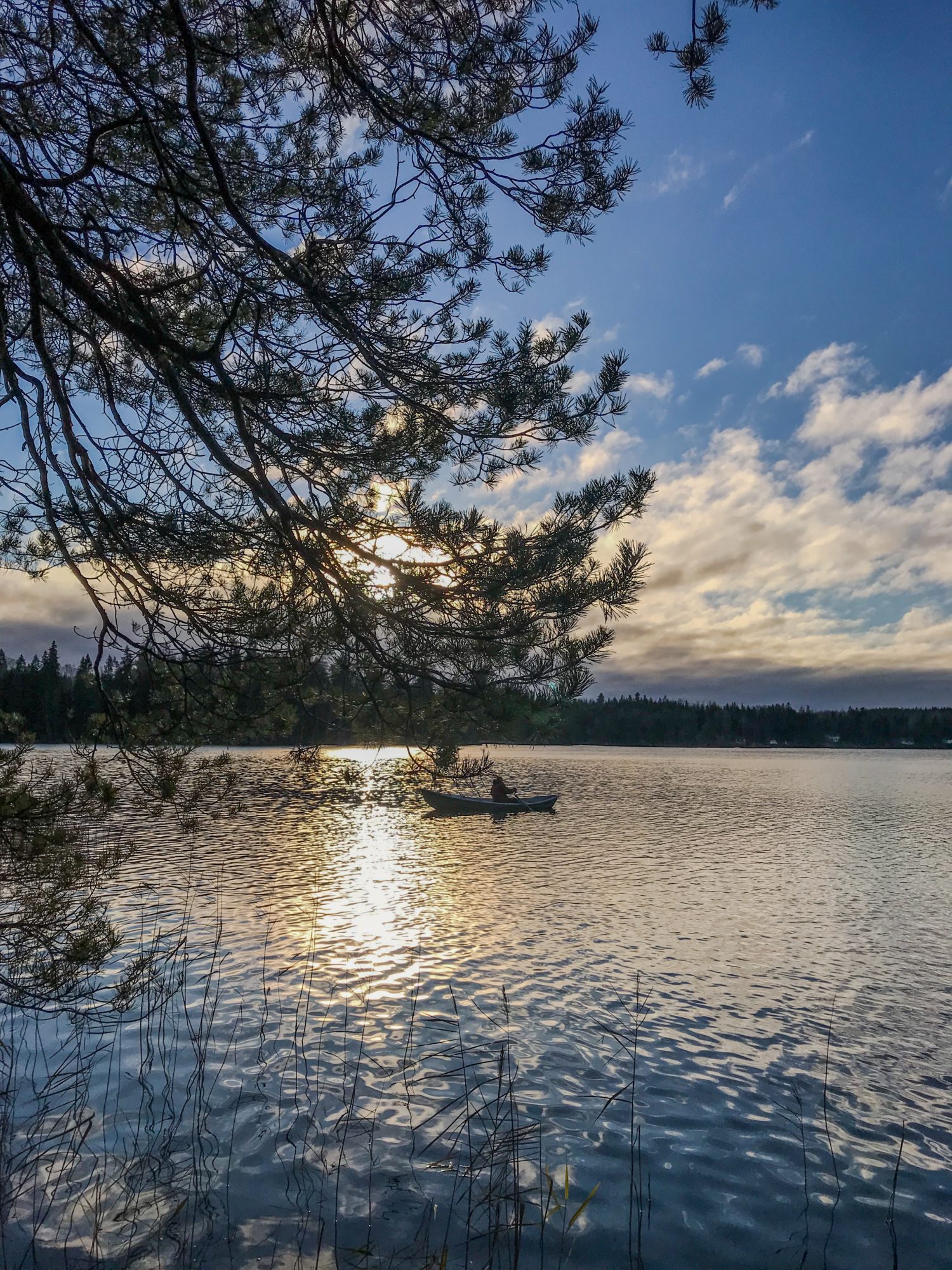 Valokuvaaja: Anne Patana