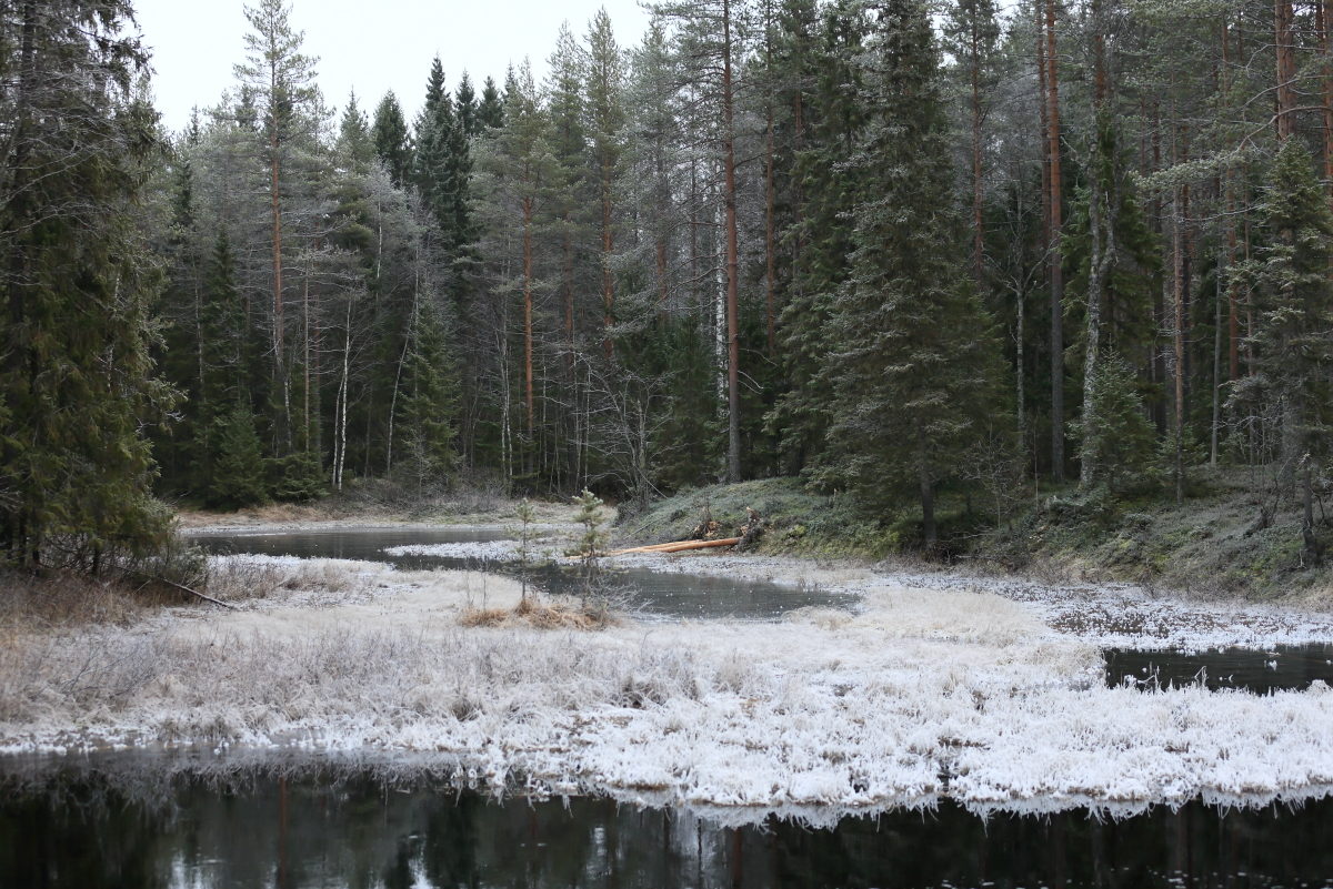 Valokuvaaja: Kari Rossinen