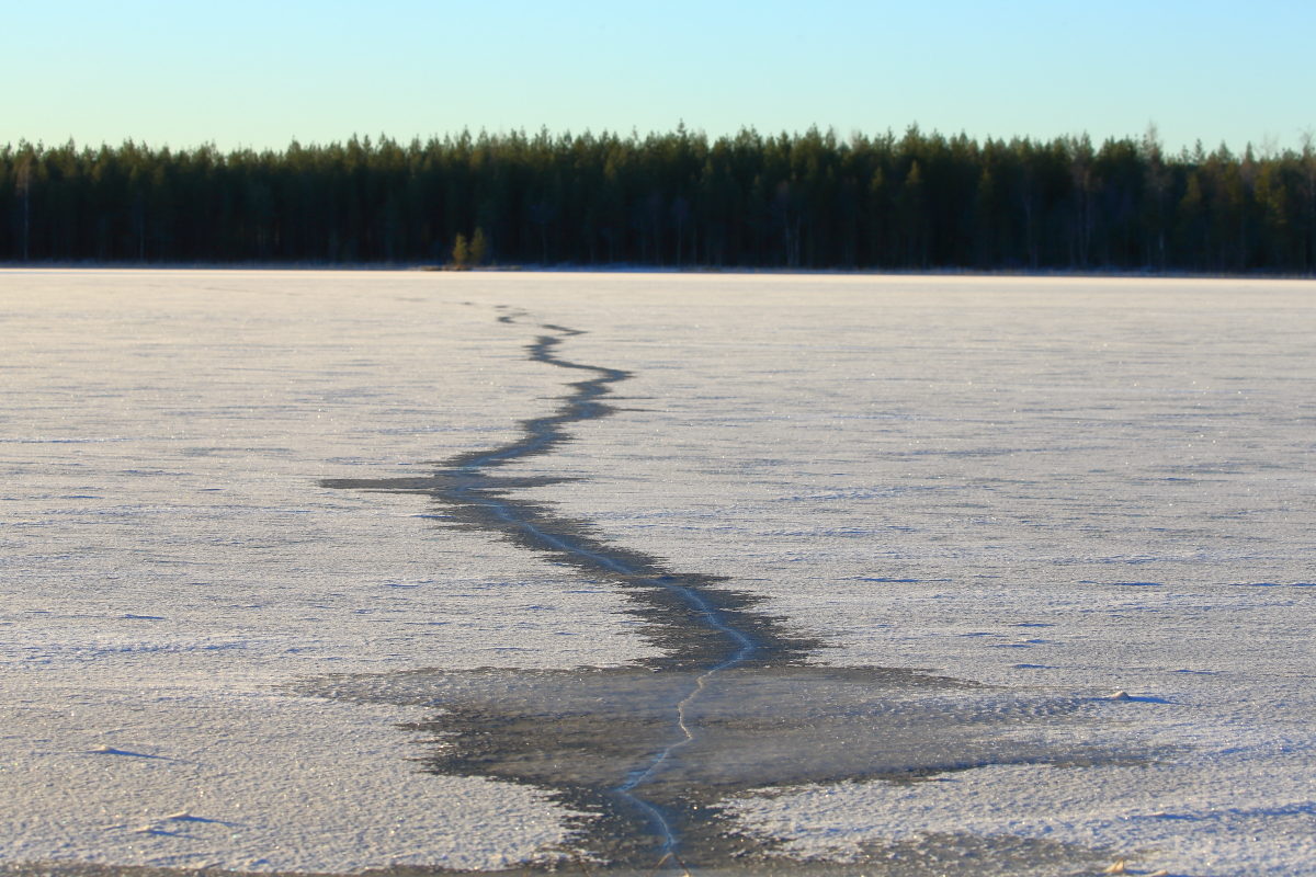 Valokuvaaja: Kari Rossinen