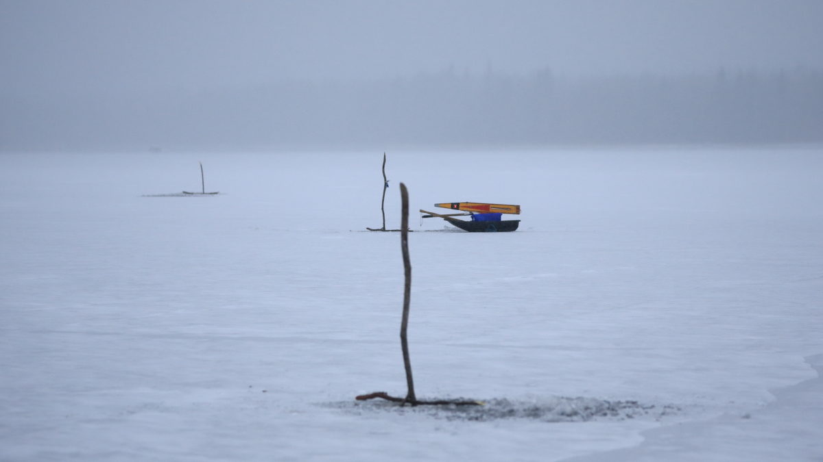 Valokuvaaja: Kari Rossinen