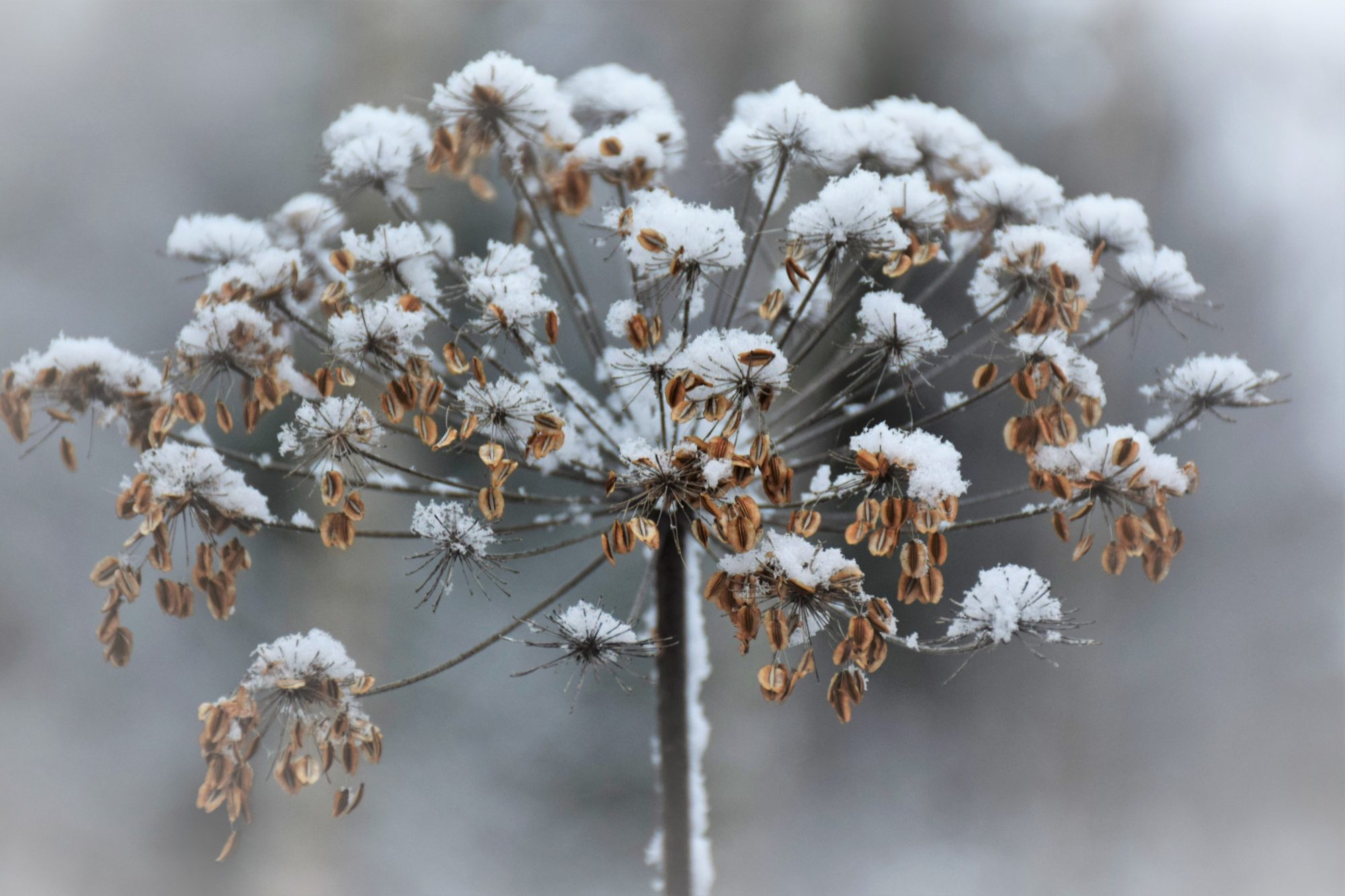 Valokuvaaja: Leena Rissanen