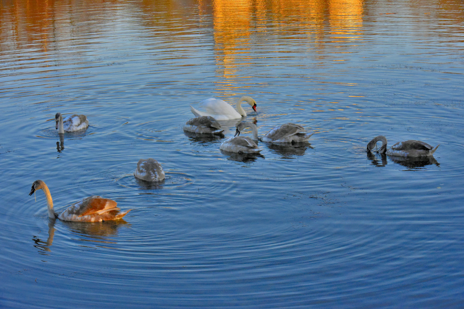 Valokuvaaja: Reijo Juurinen Valokuvaaja: Reijo Juurinen