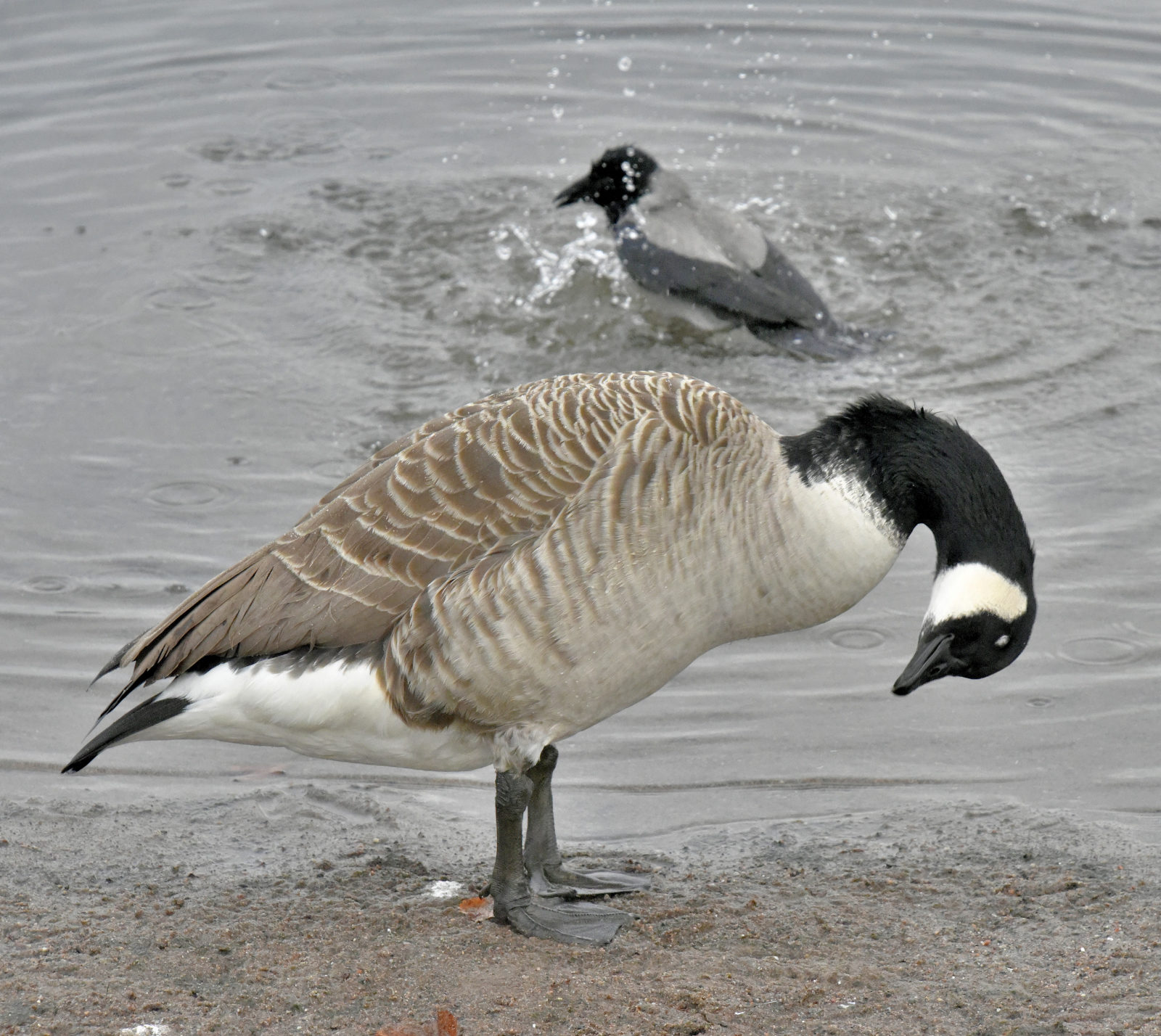 Valokuvaaja: Reijo Juurinen