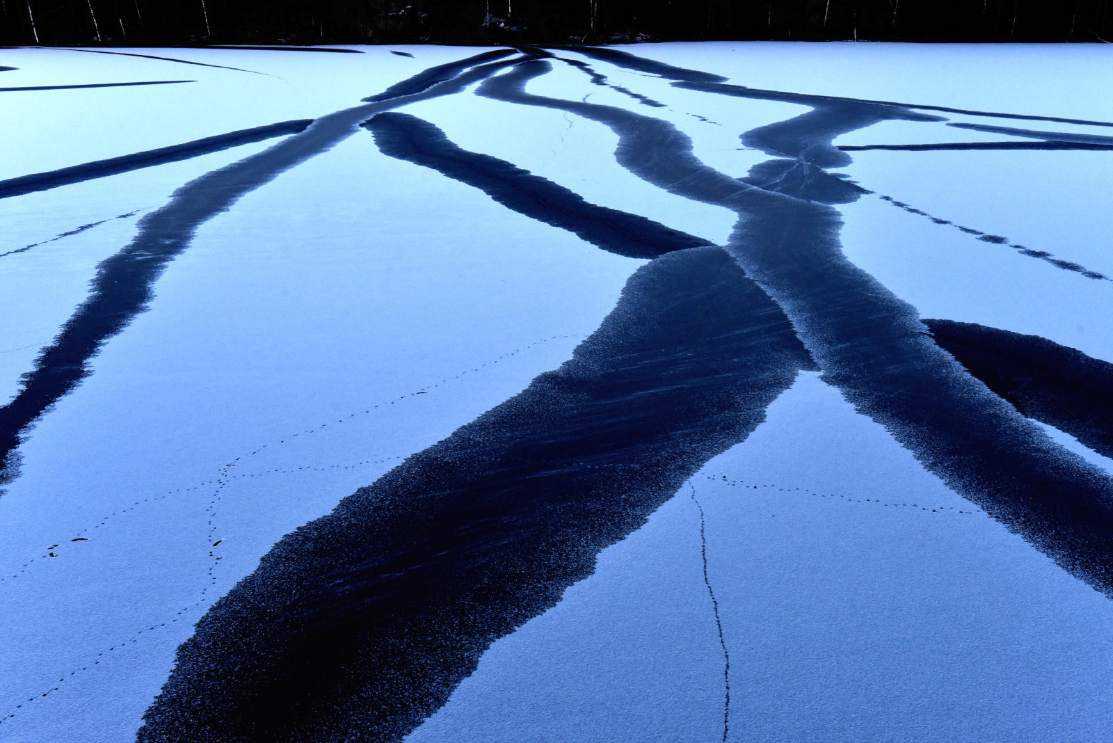 Valokuvaaja: Reijo Juurinen