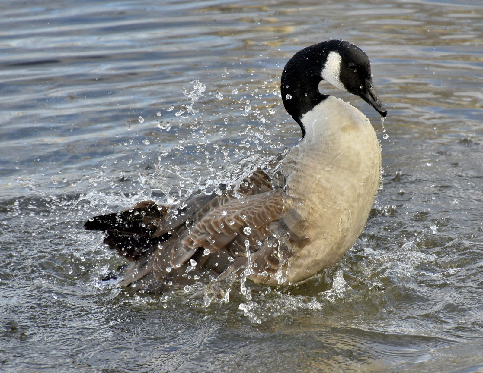Valokuvaaja: Reijo Juurinen