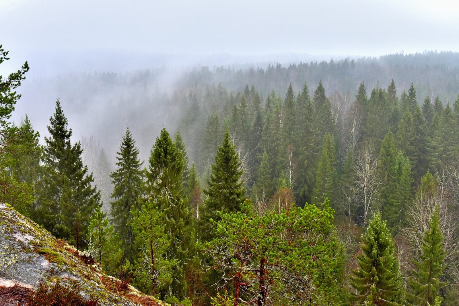 Valokuvaaja: Reijo Juurinen