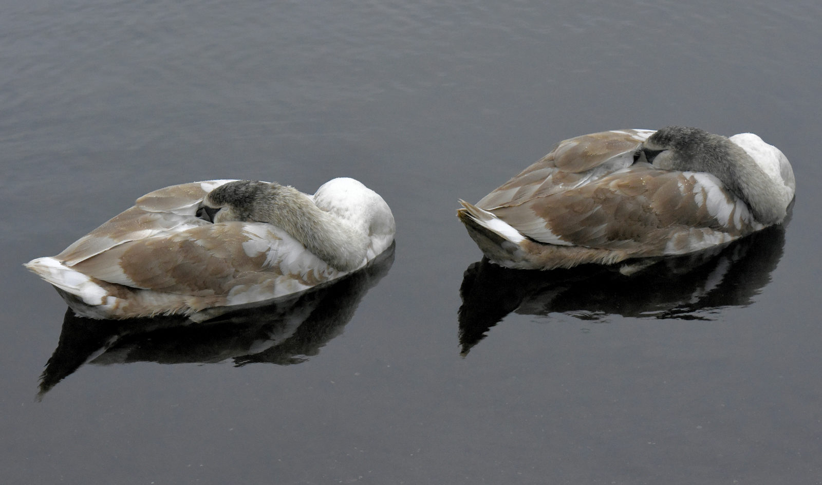 Valokuvaaja: Reijo Juurinen
