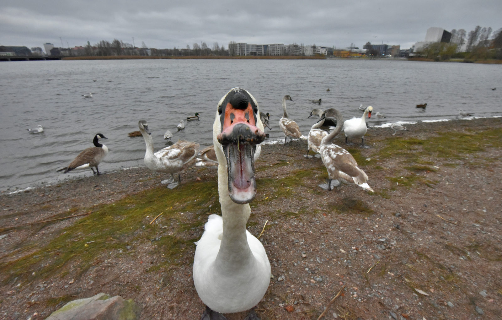 Valokuvaaja: Reijo Juurinen