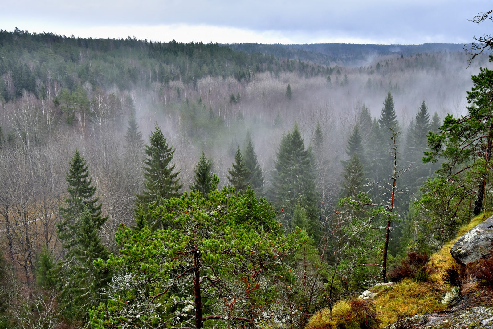 Valokuvaaja: Reijo Juurinen