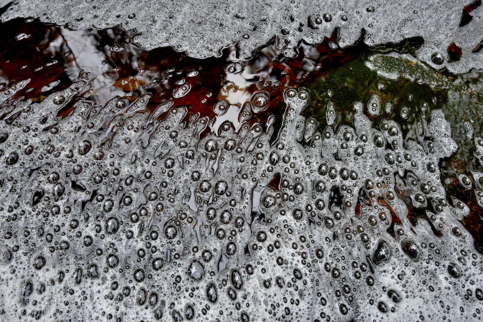 Valokuvaaja: Reijo Juurinen Valokuvaaja: Reijo Juurinen