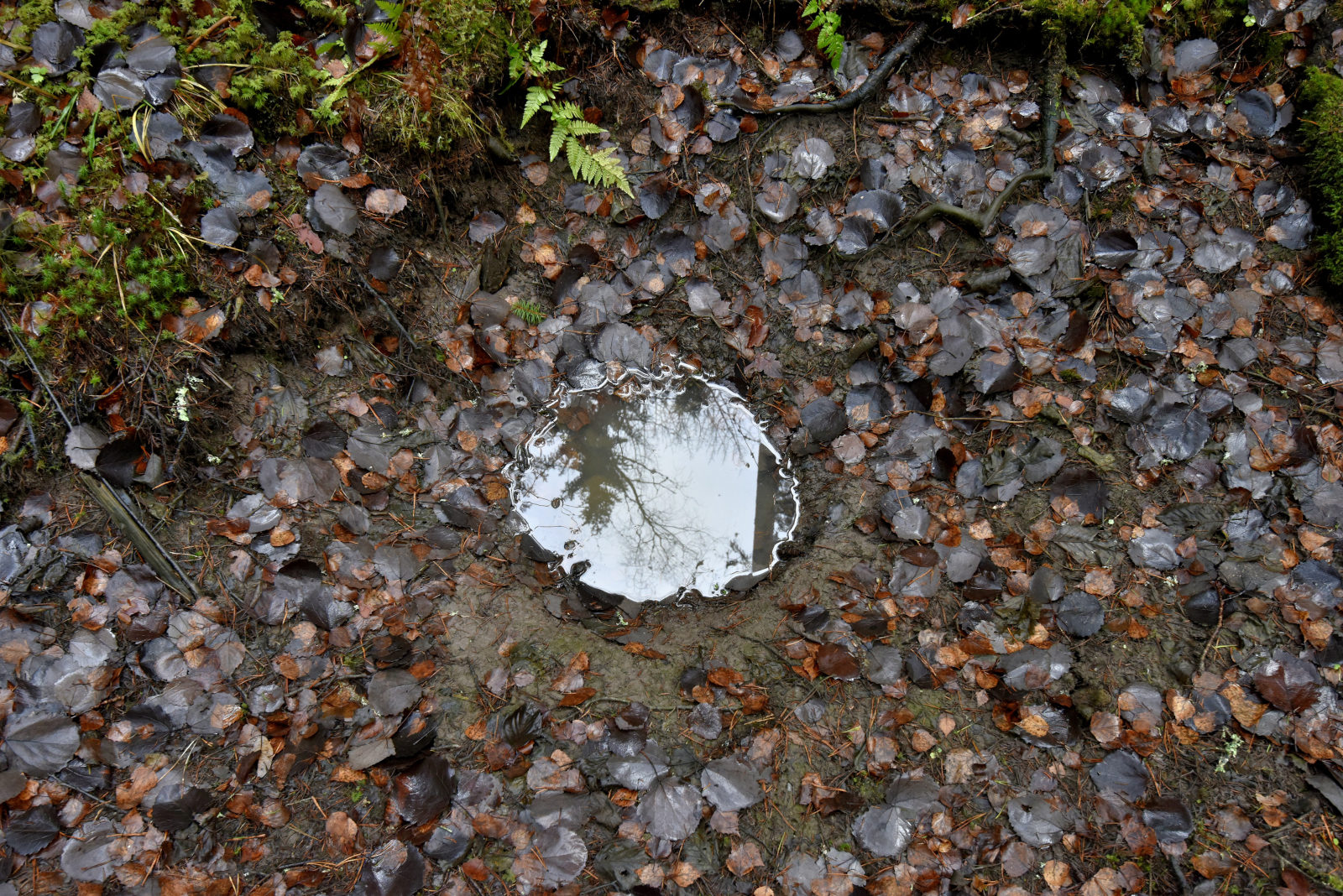 Valokuvaaja: Reijo Juurinen