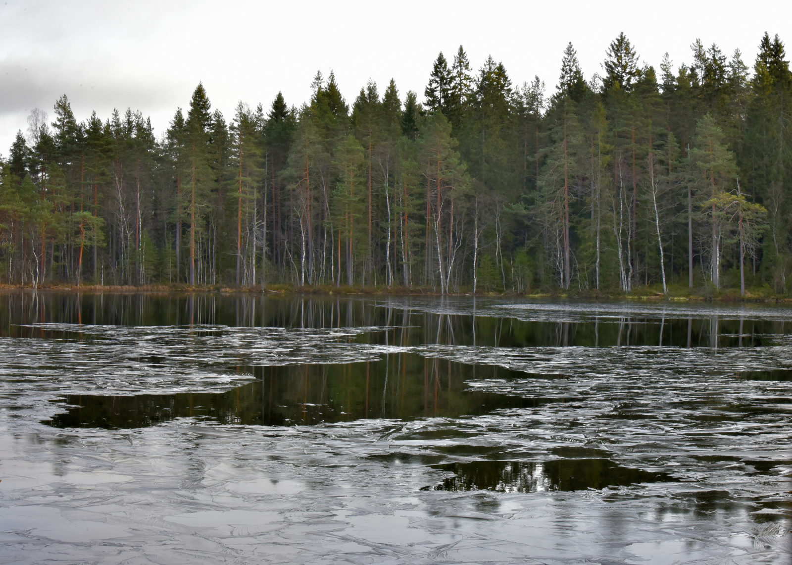 Valokuvaaja: Reijo Juurinen Valokuvaaja: Reijo Juurinen