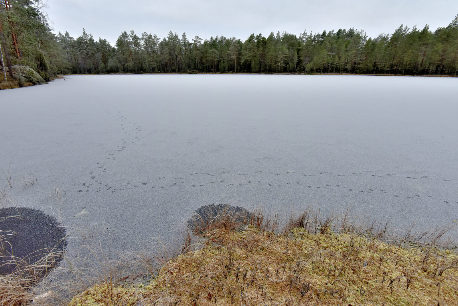Valokuvaaja: Reijo Juurinen