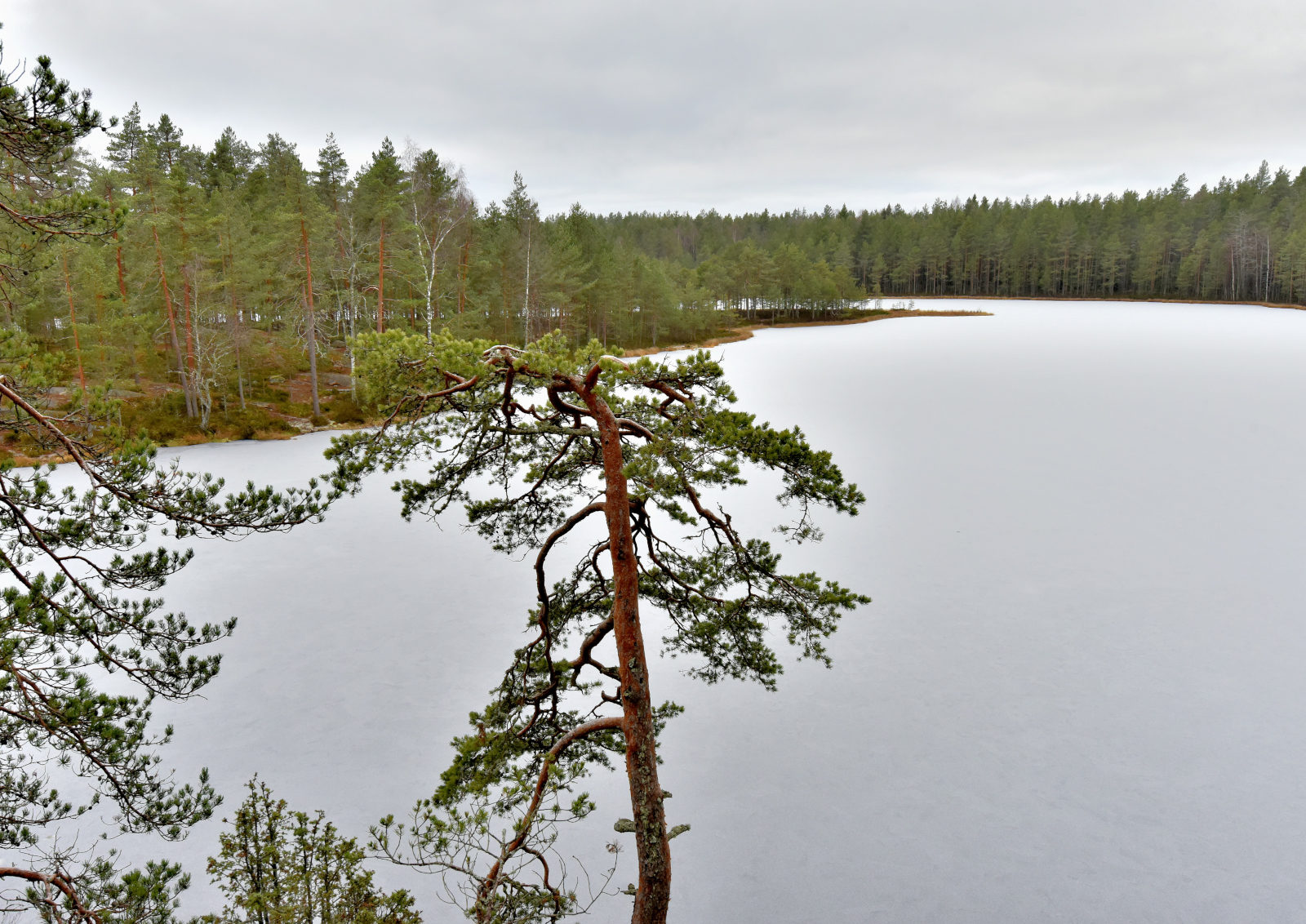 Valokuvaaja: Reijo Juurinen