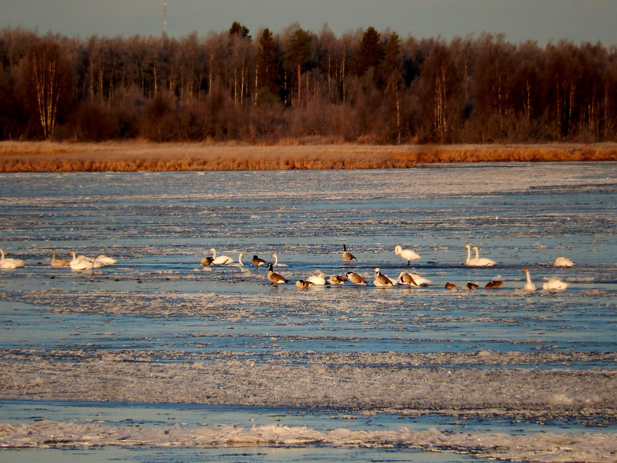 Valokuvaaja: Pirkko Siukonen