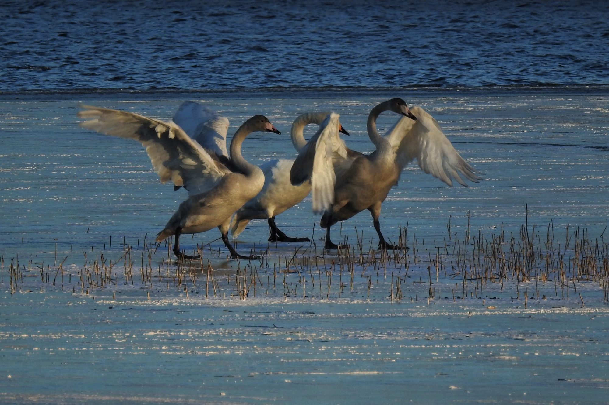 Valokuvaaja: Maarit Siitonen