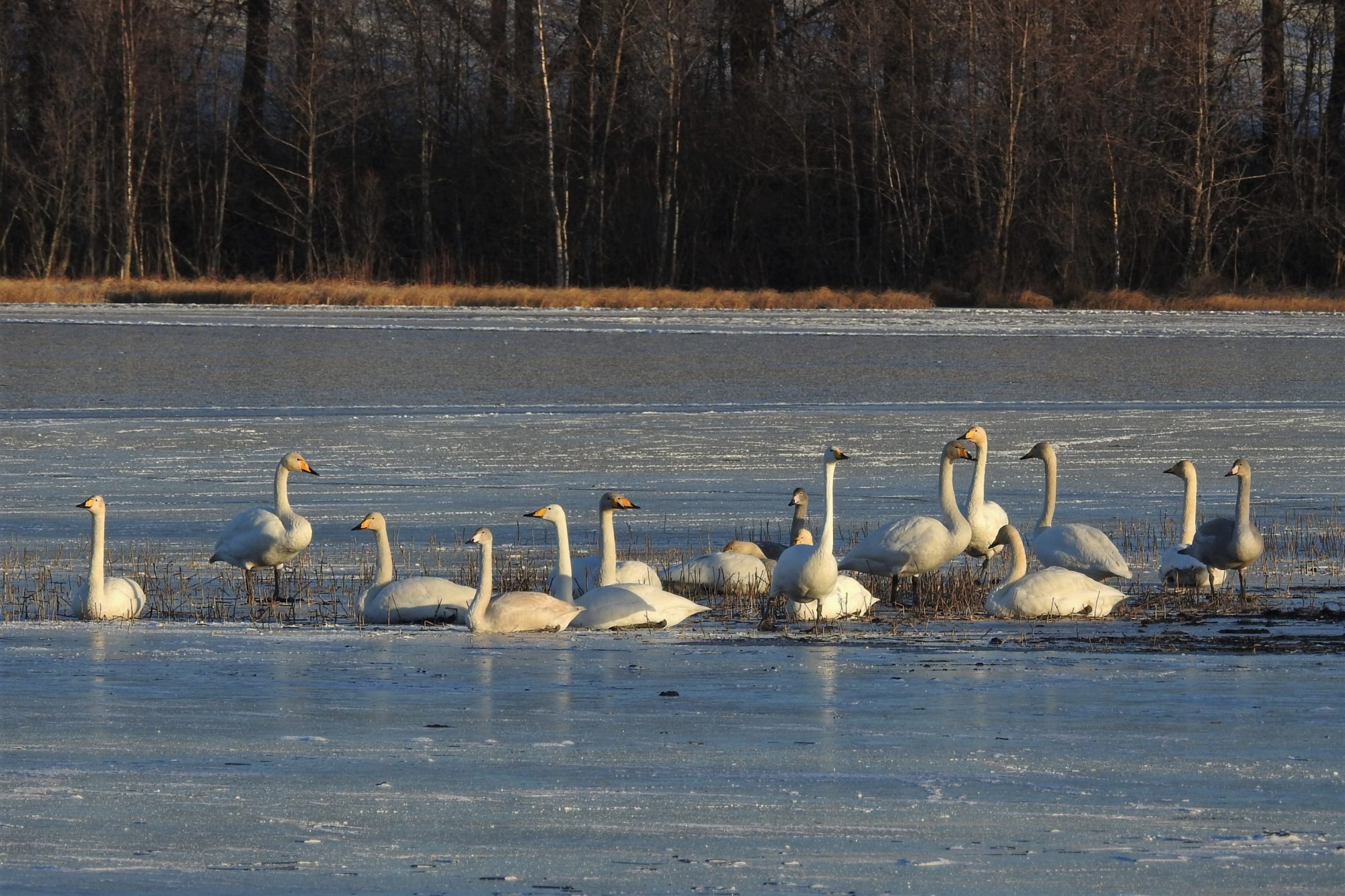 Valokuvaaja: Maarit Siitonen