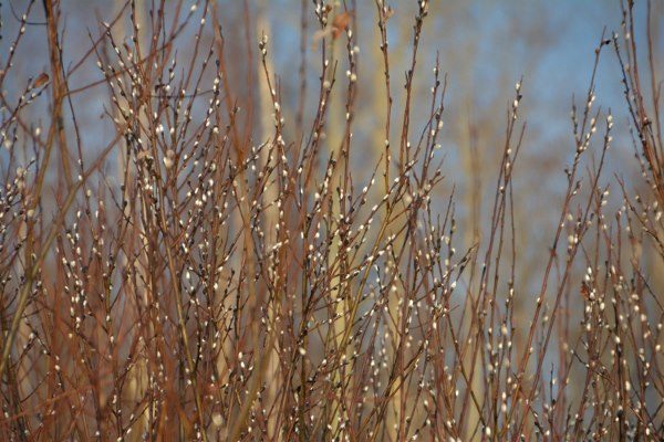 Valokuvaaja: Arja Koffert