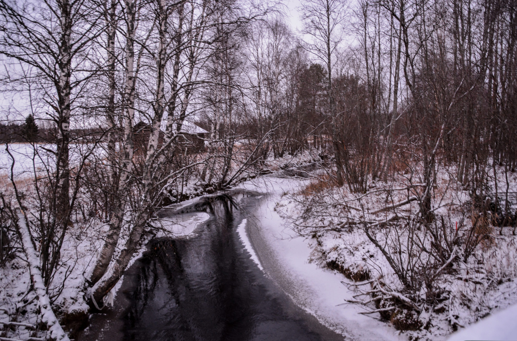 Valokuvaaja: Maija Savolainen