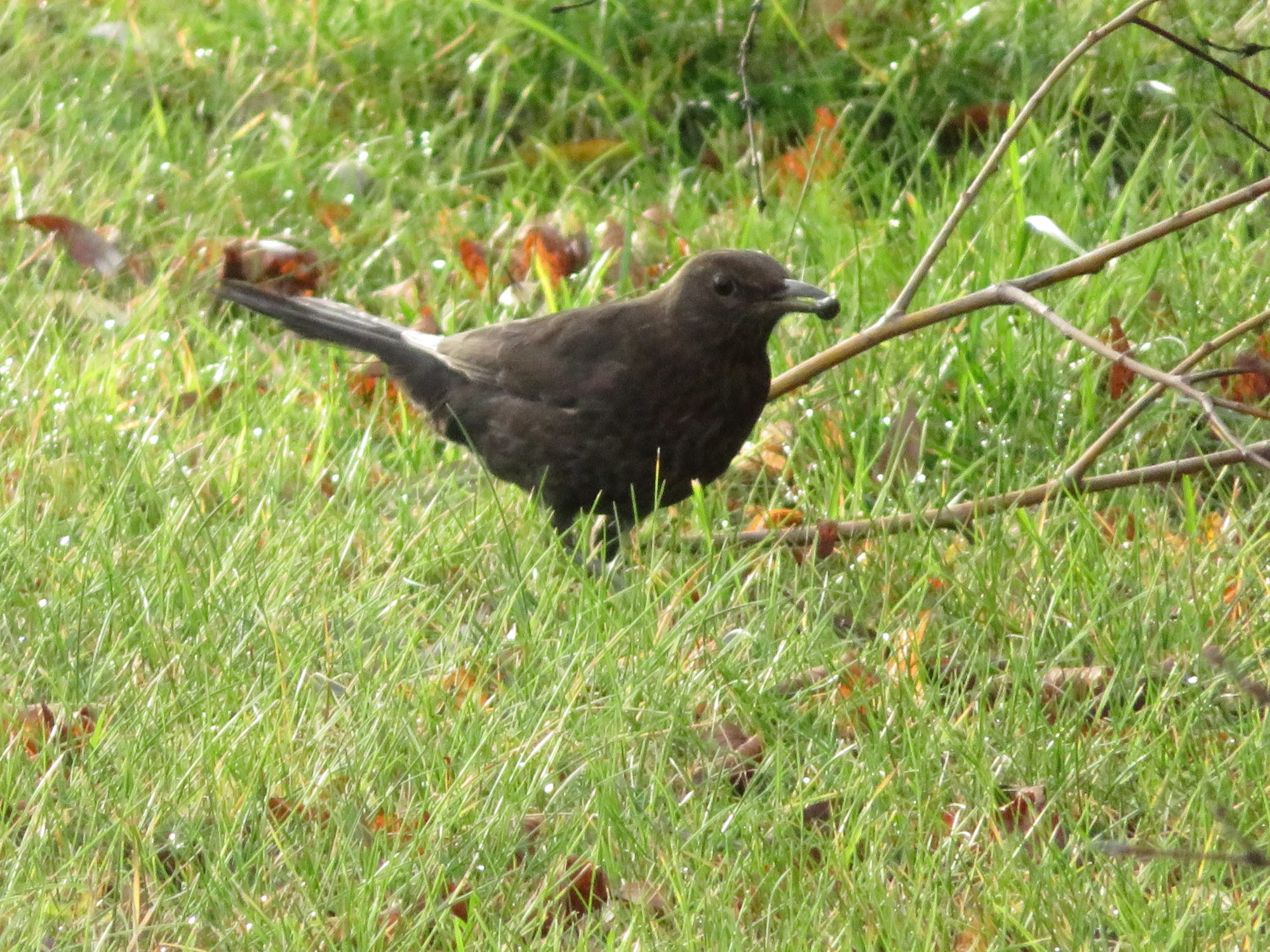 Valokuvaaja: Risto Kangassalo
