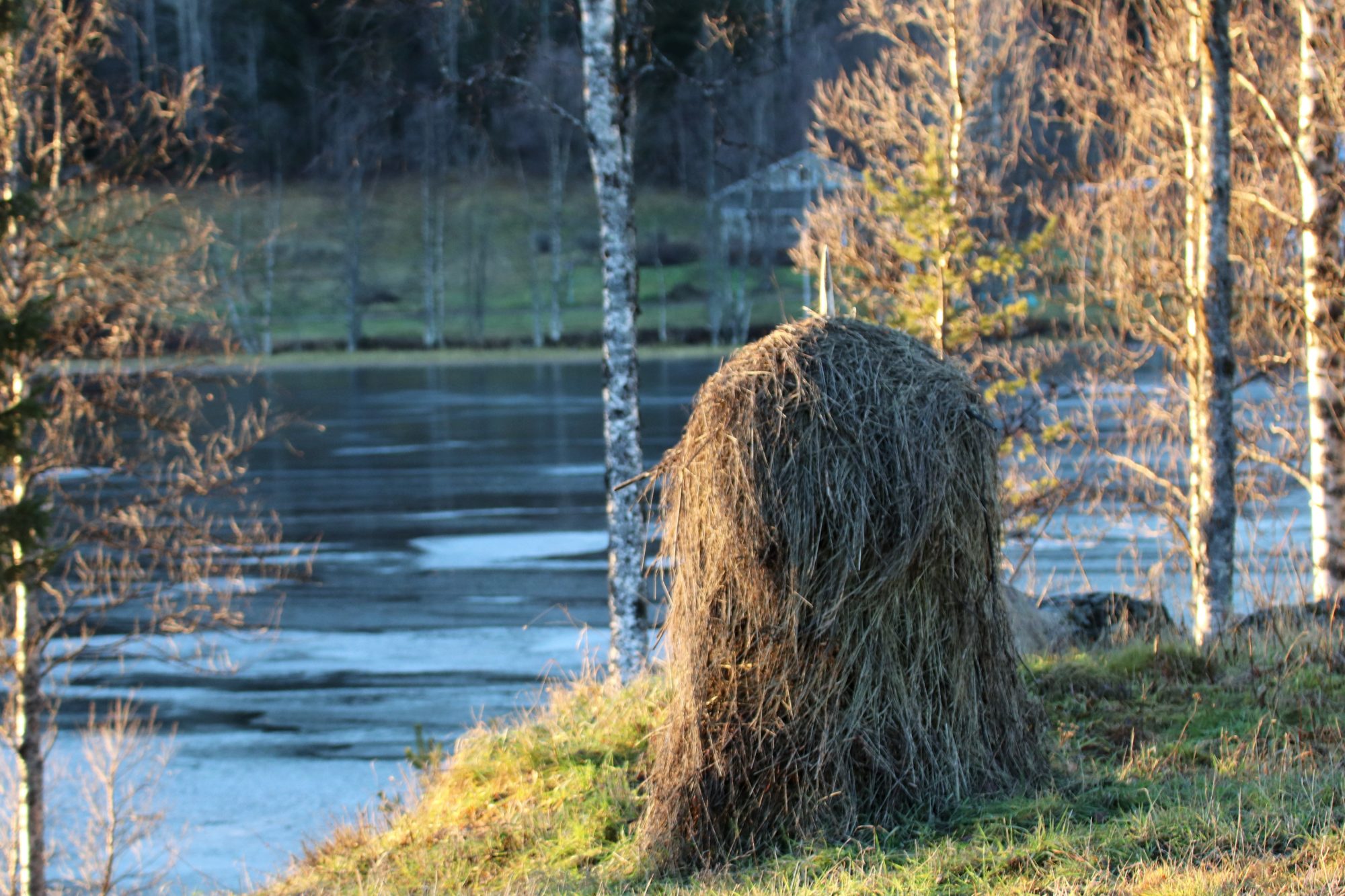 Valokuvaaja: Irja Lehtinen