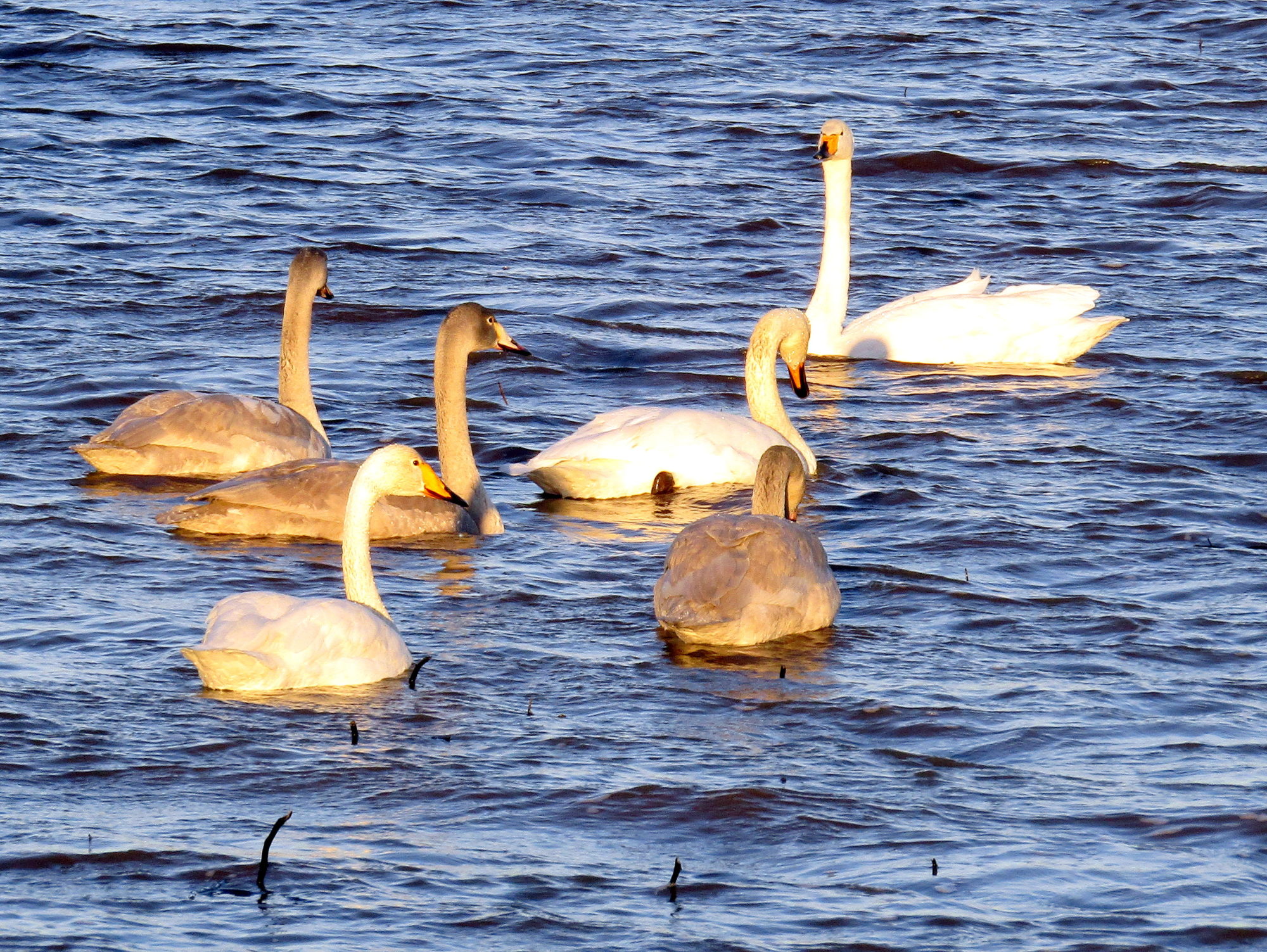 Valokuvaaja: Sirkka Ruotoistenmäki