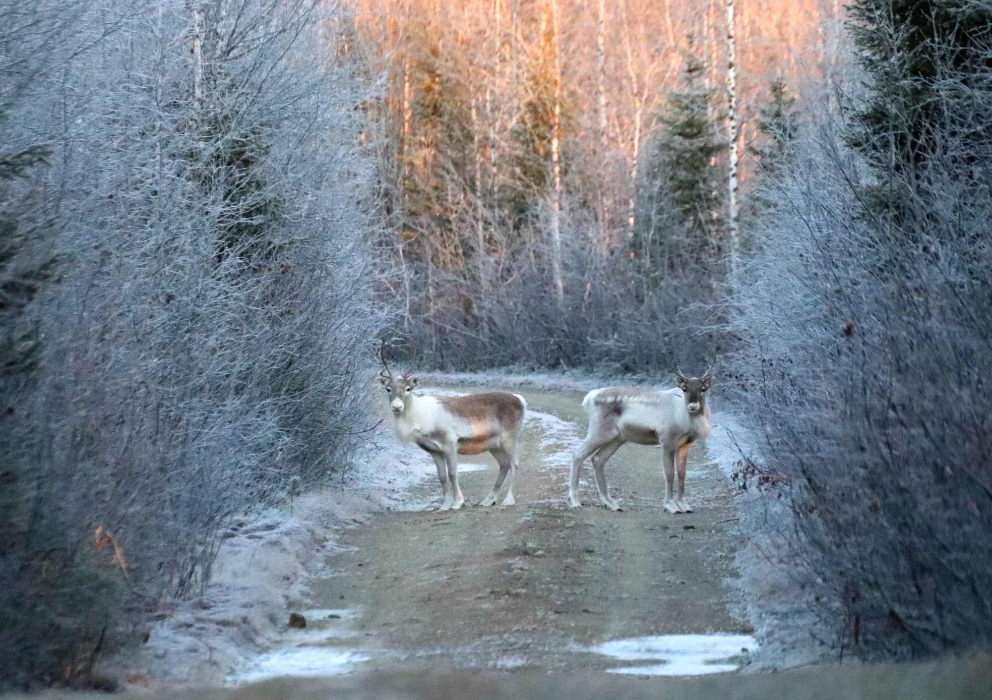 Valokuvaaja: Irja Lehtinen