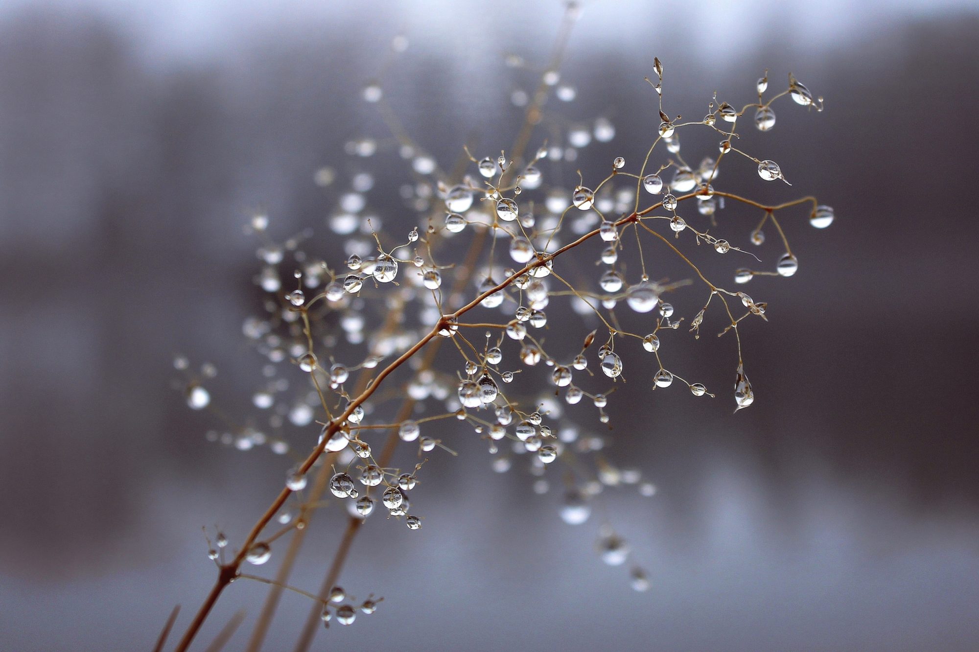 Valokuvaaja: Paula Savelius