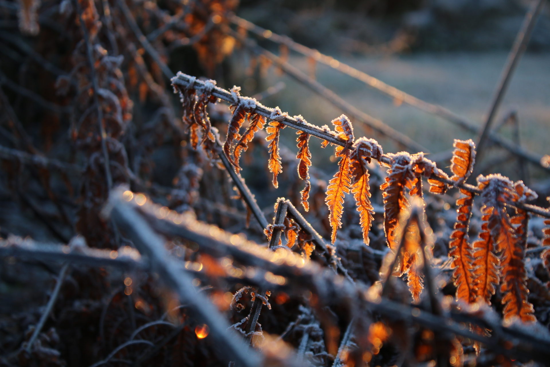 Valokuvaaja: Teija Järvenpää