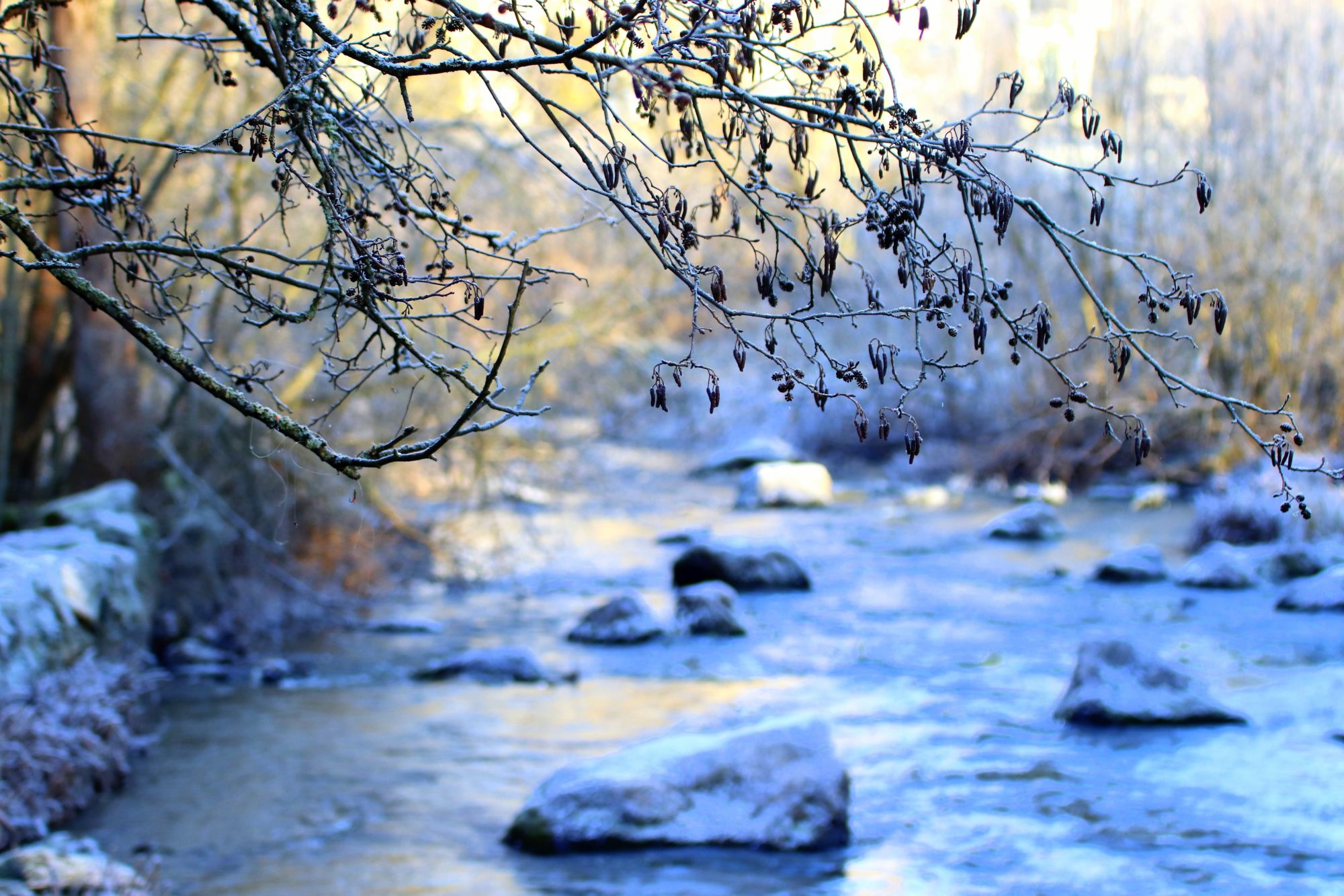 Valokuvaaja: Irja Lehtinen