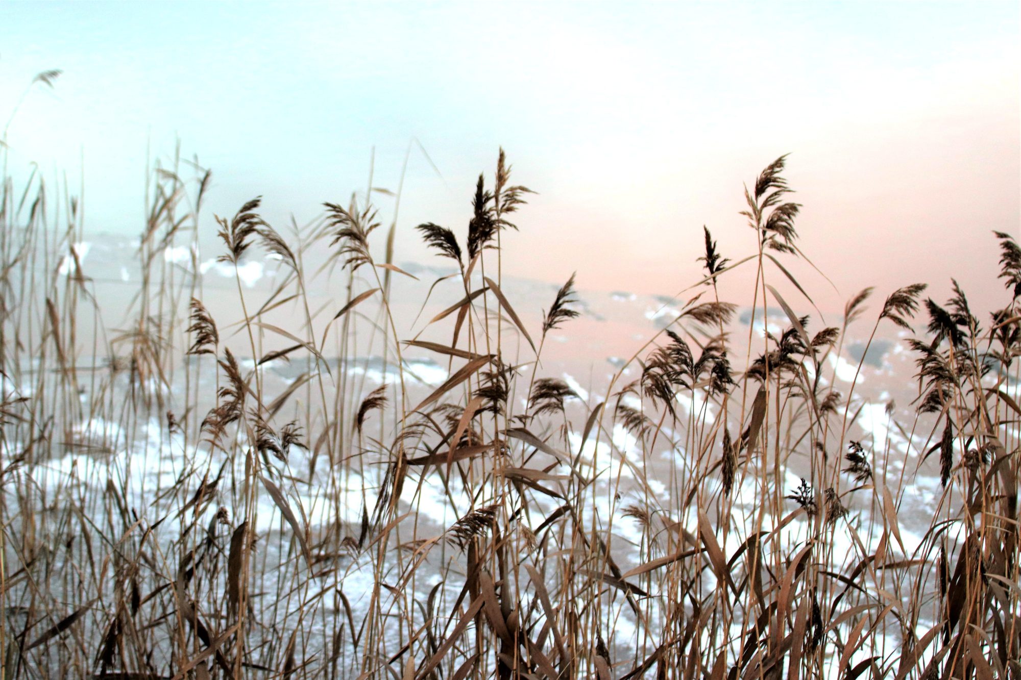 Valokuvaaja: Irja Lehtinen