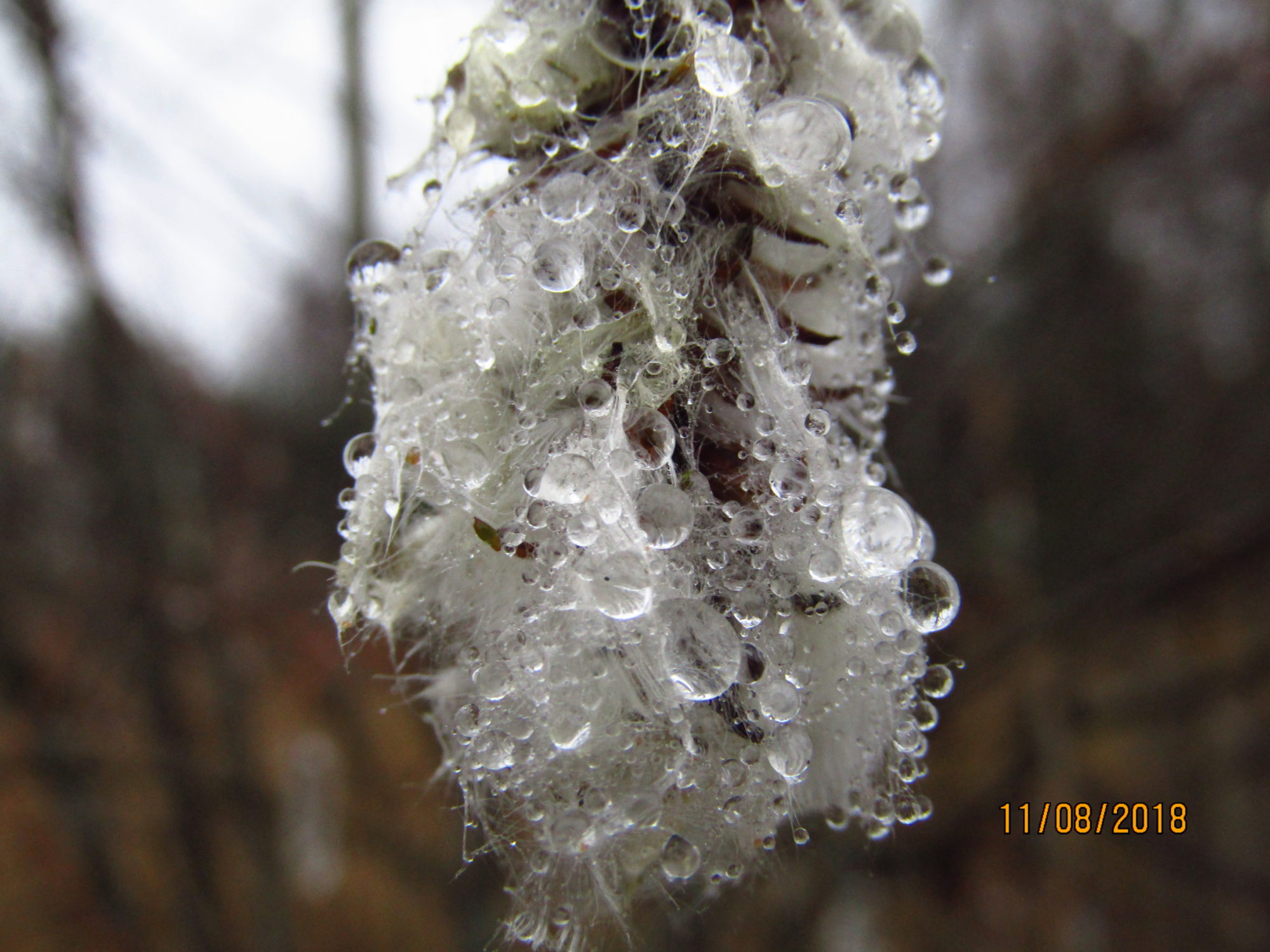 Valokuvaaja: Teija Matikka