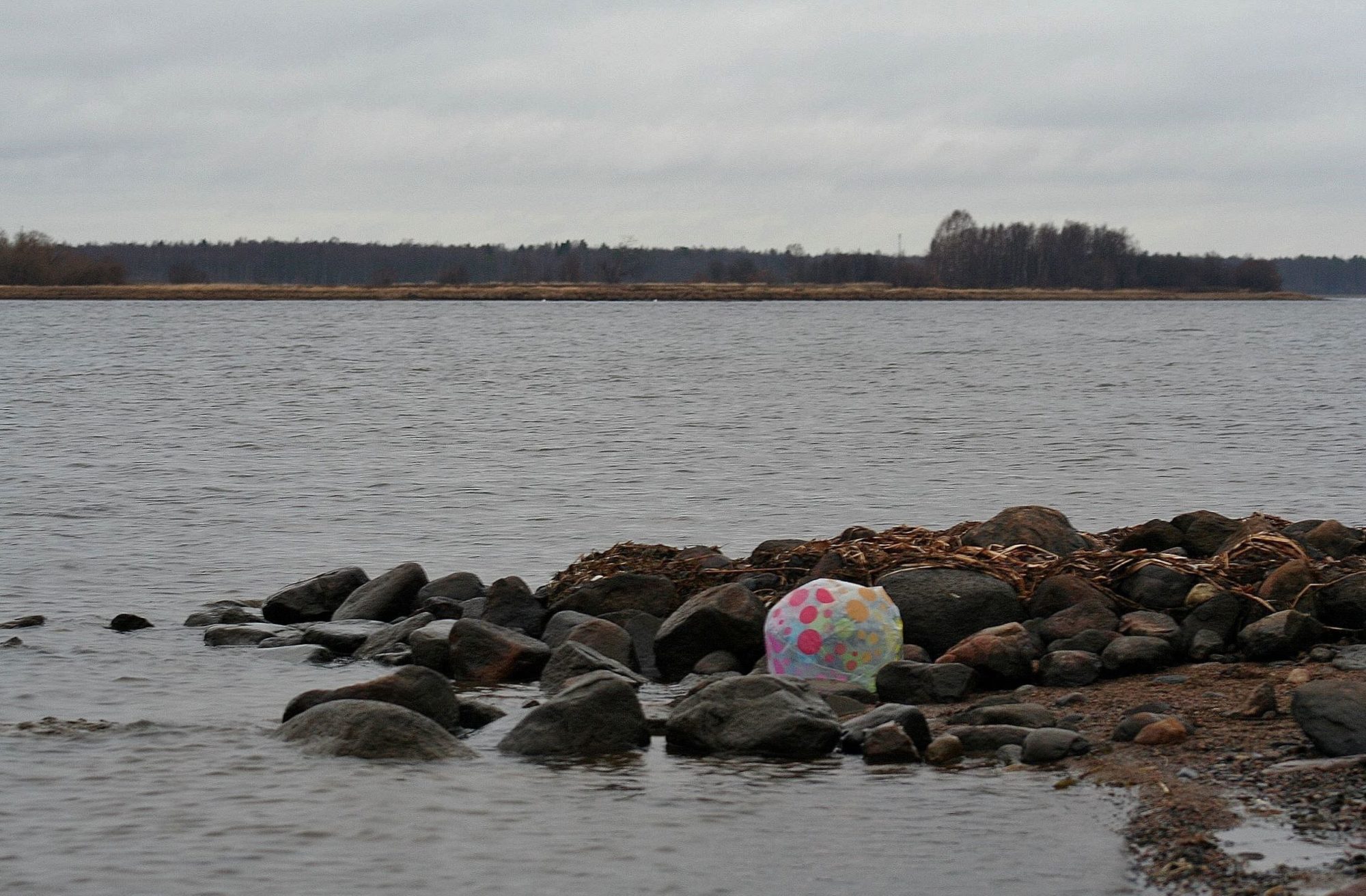 Valokuvaaja: Pirkko Siukonen Valokuvaaja: Pirkko Siukonen