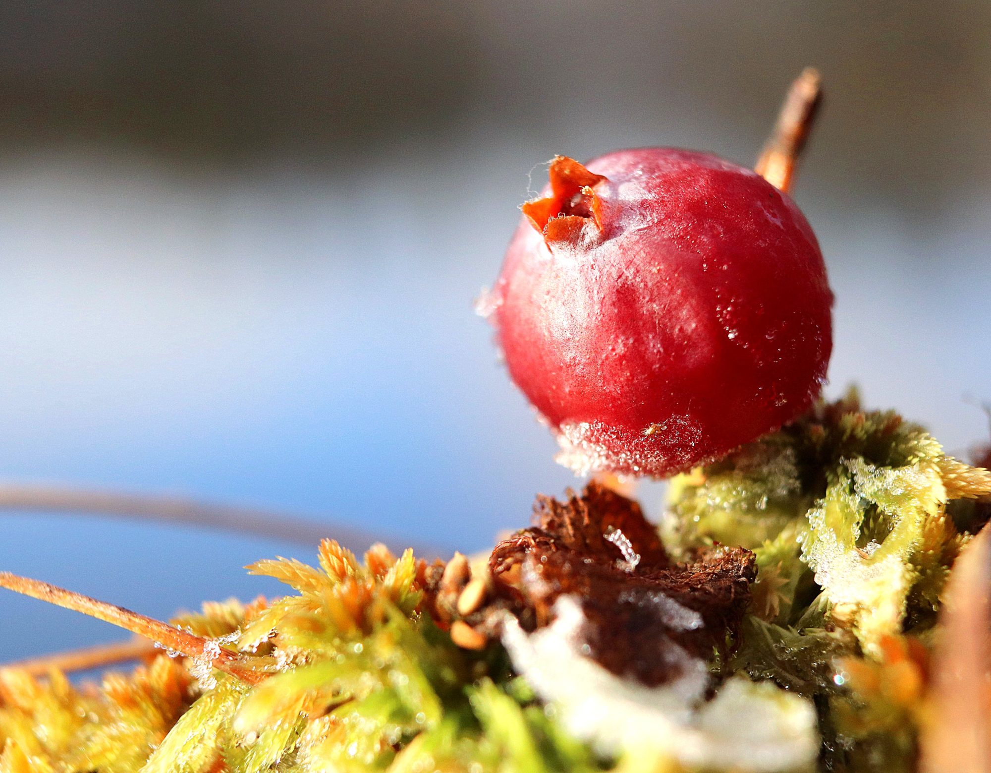 Valokuvaaja: Irja Lehtinen