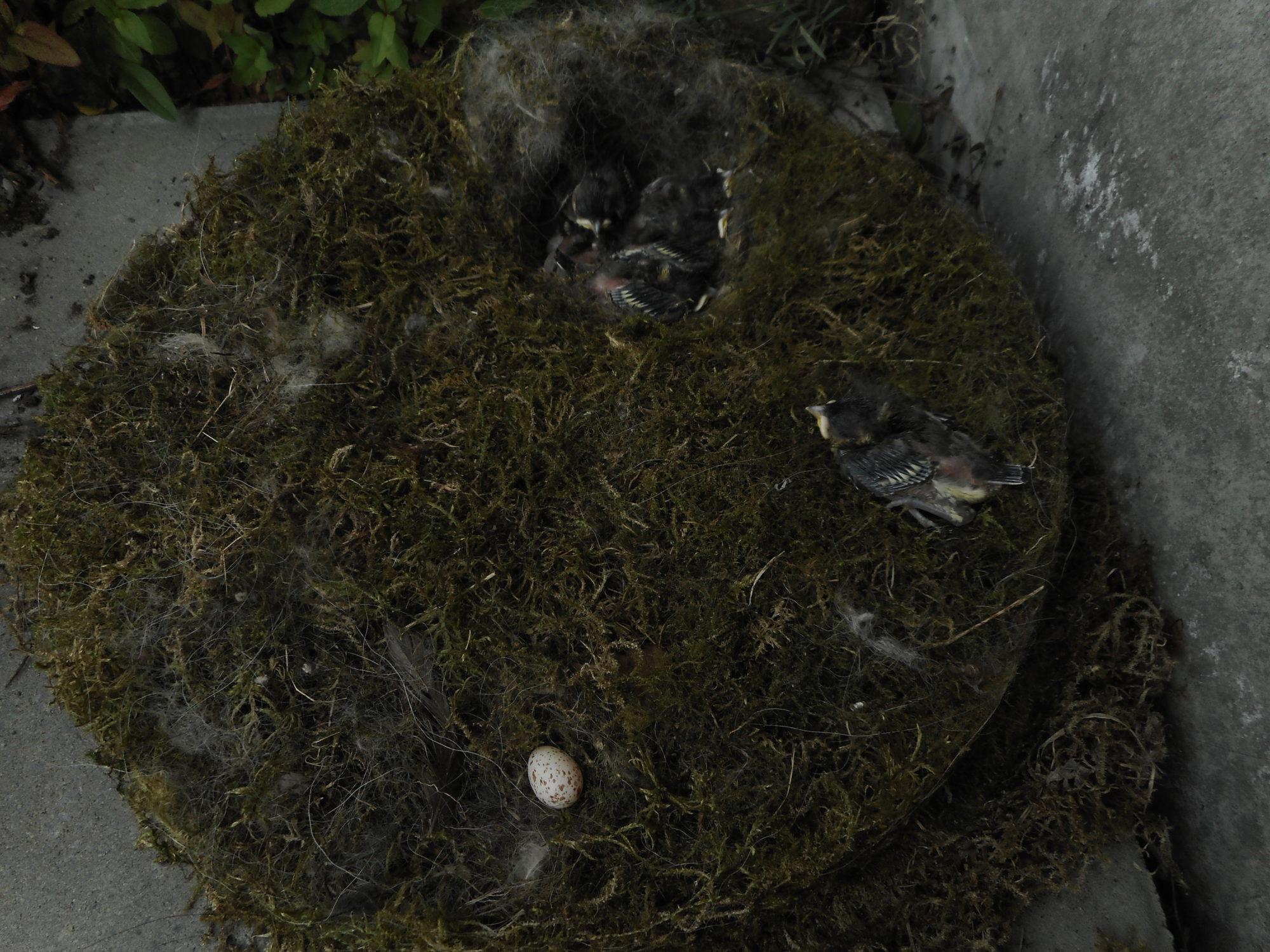 Valokuvaaja: Kimmo Kianto